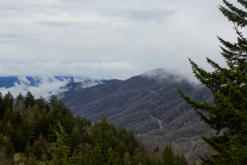 a view of a mountain range with trees in the foreground