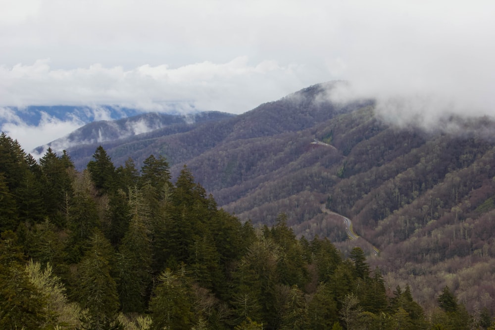 a view of a mountain range with trees in the foreground