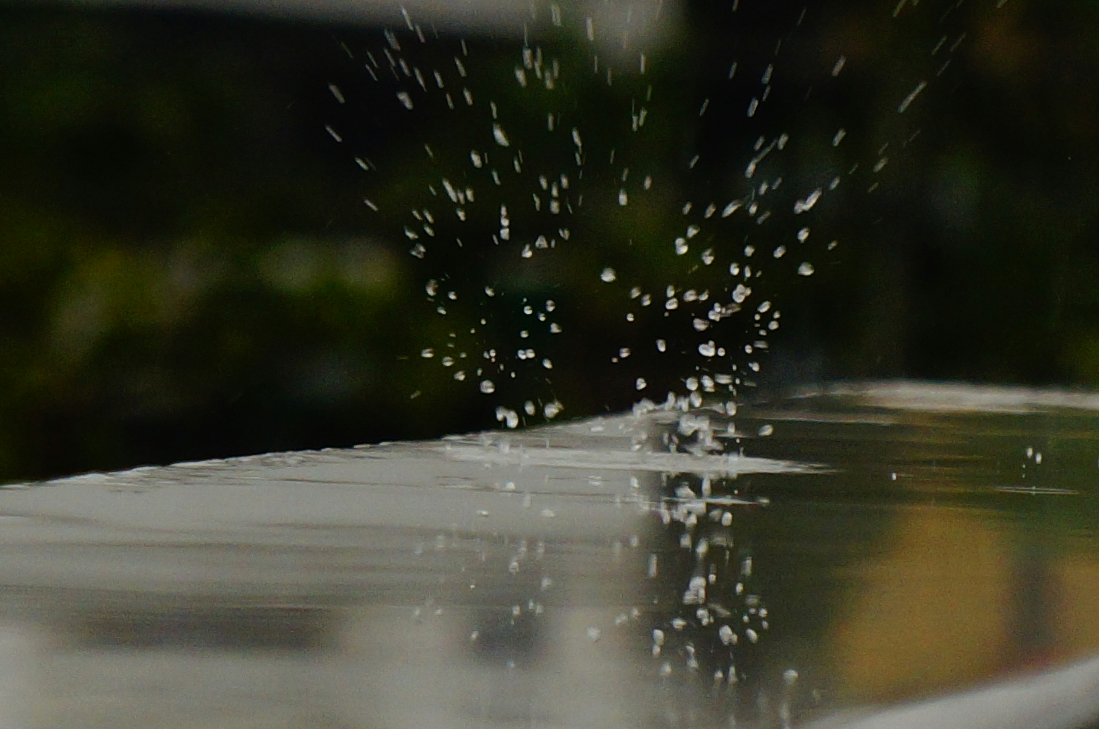 Photo by andresloquesea