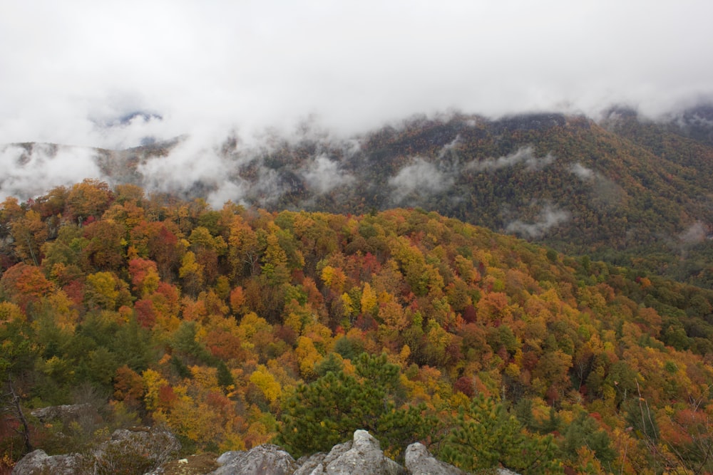 a view of a mountain covered in clouds and trees