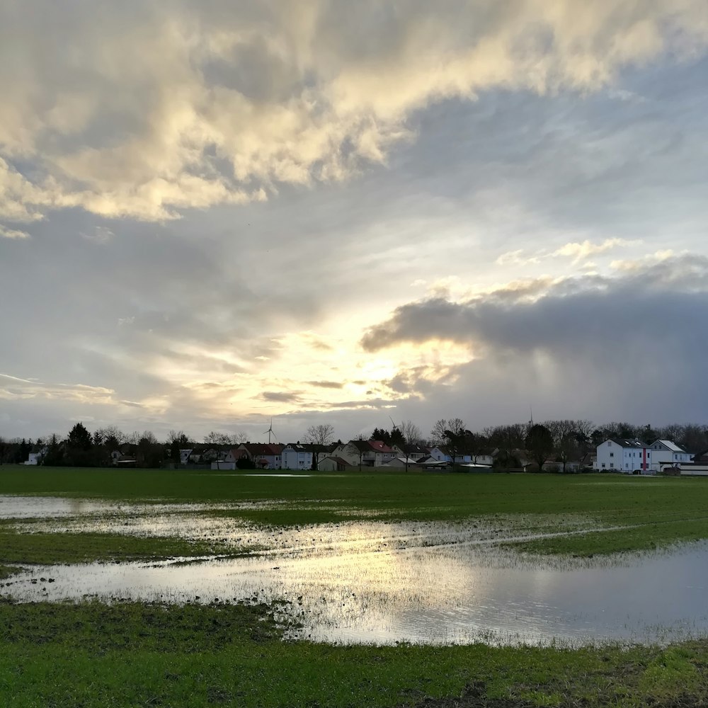 a flooded field with houses in the background