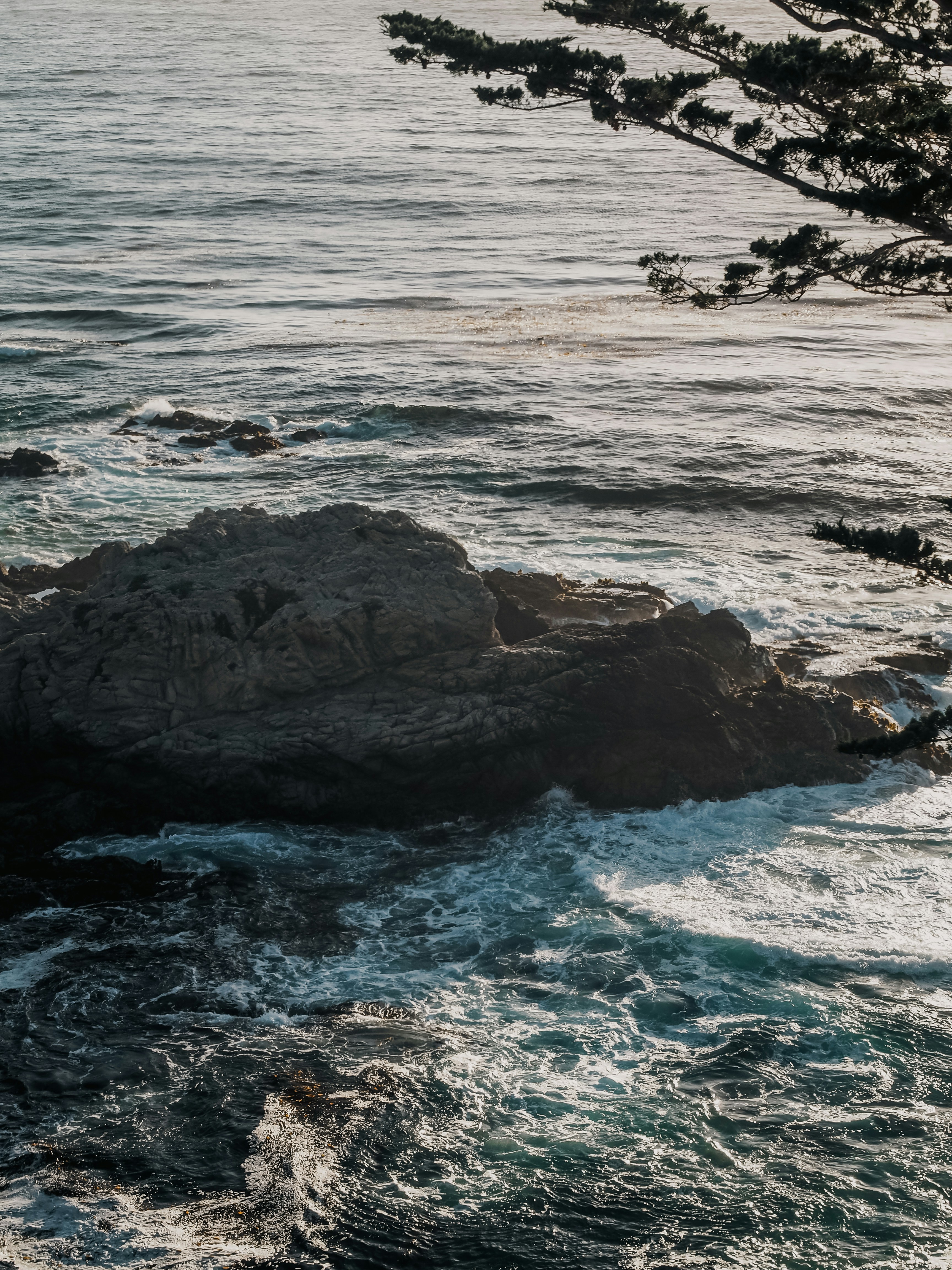 Photo by kalaniparker