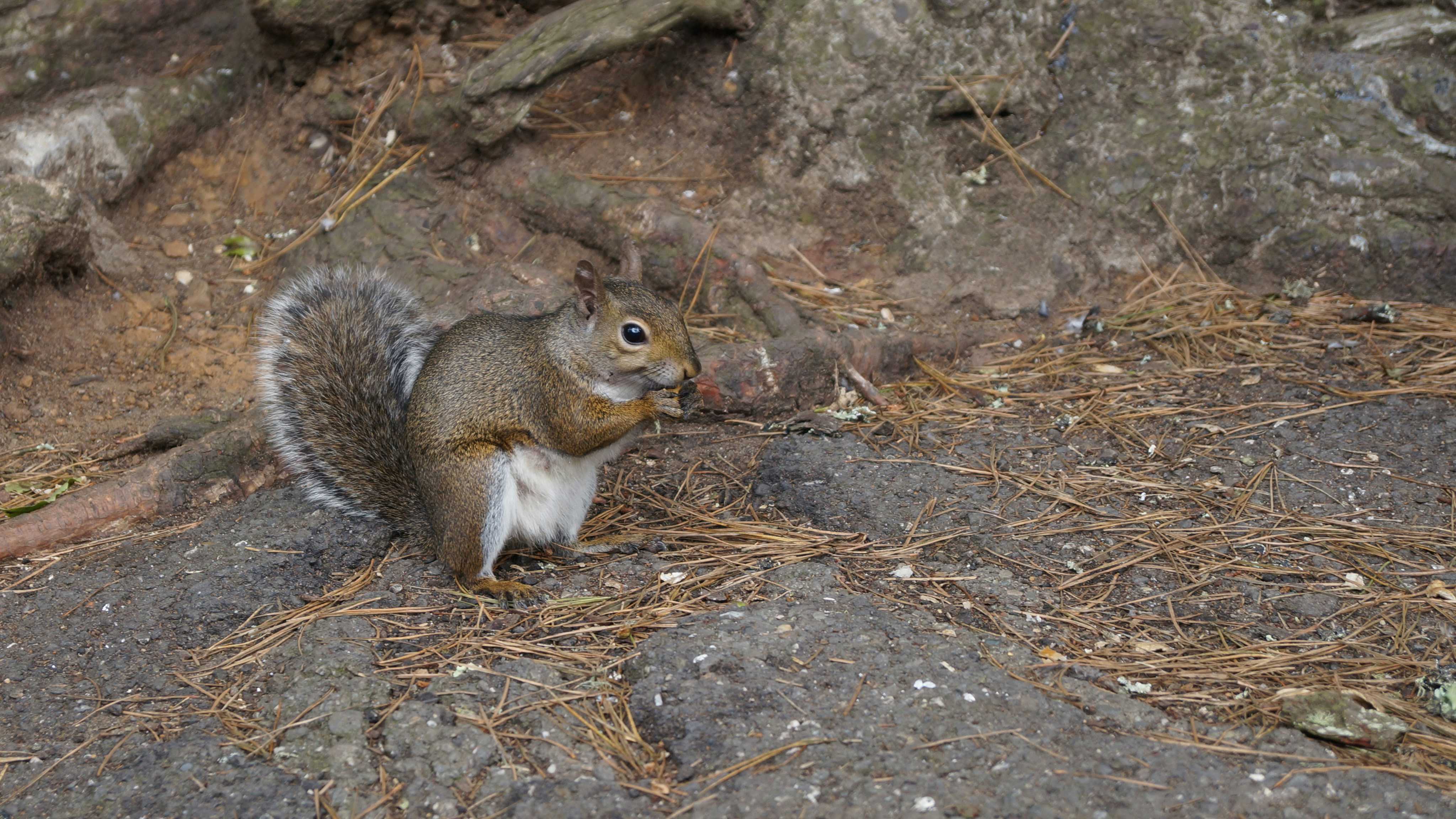 Photo by mengmeng11001