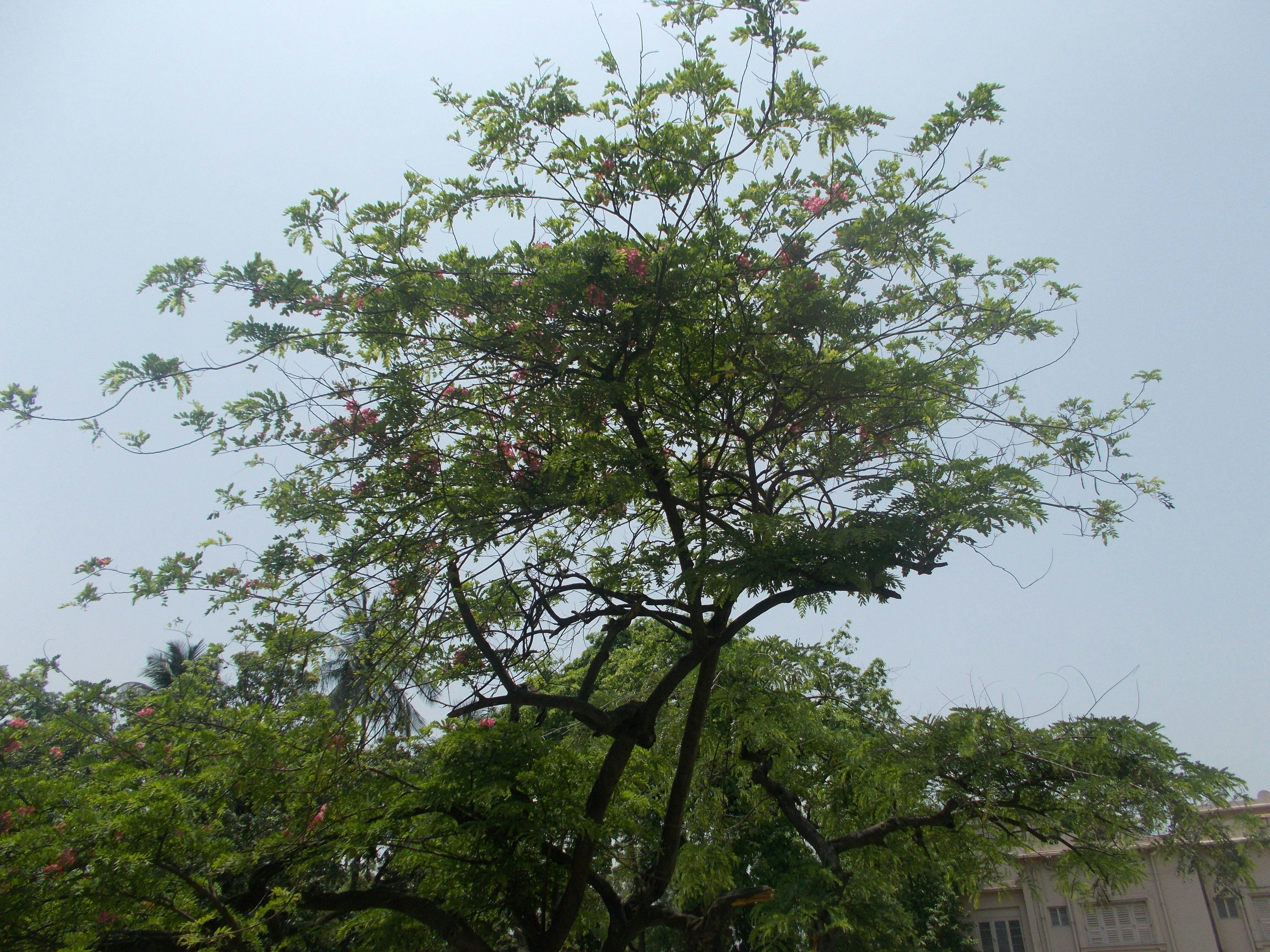 Photo by shutters_flutter