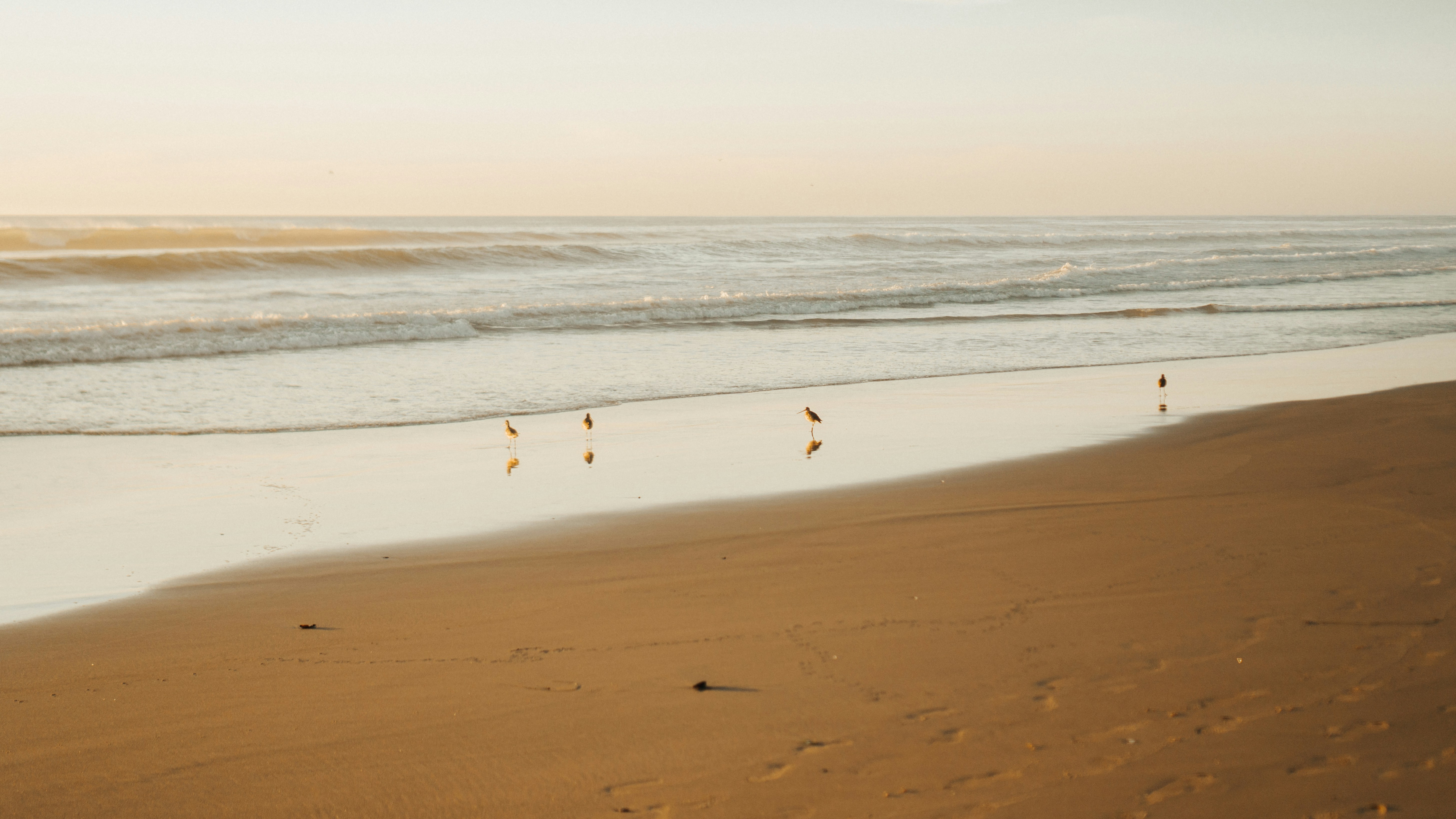 Photo by abdiasavalos