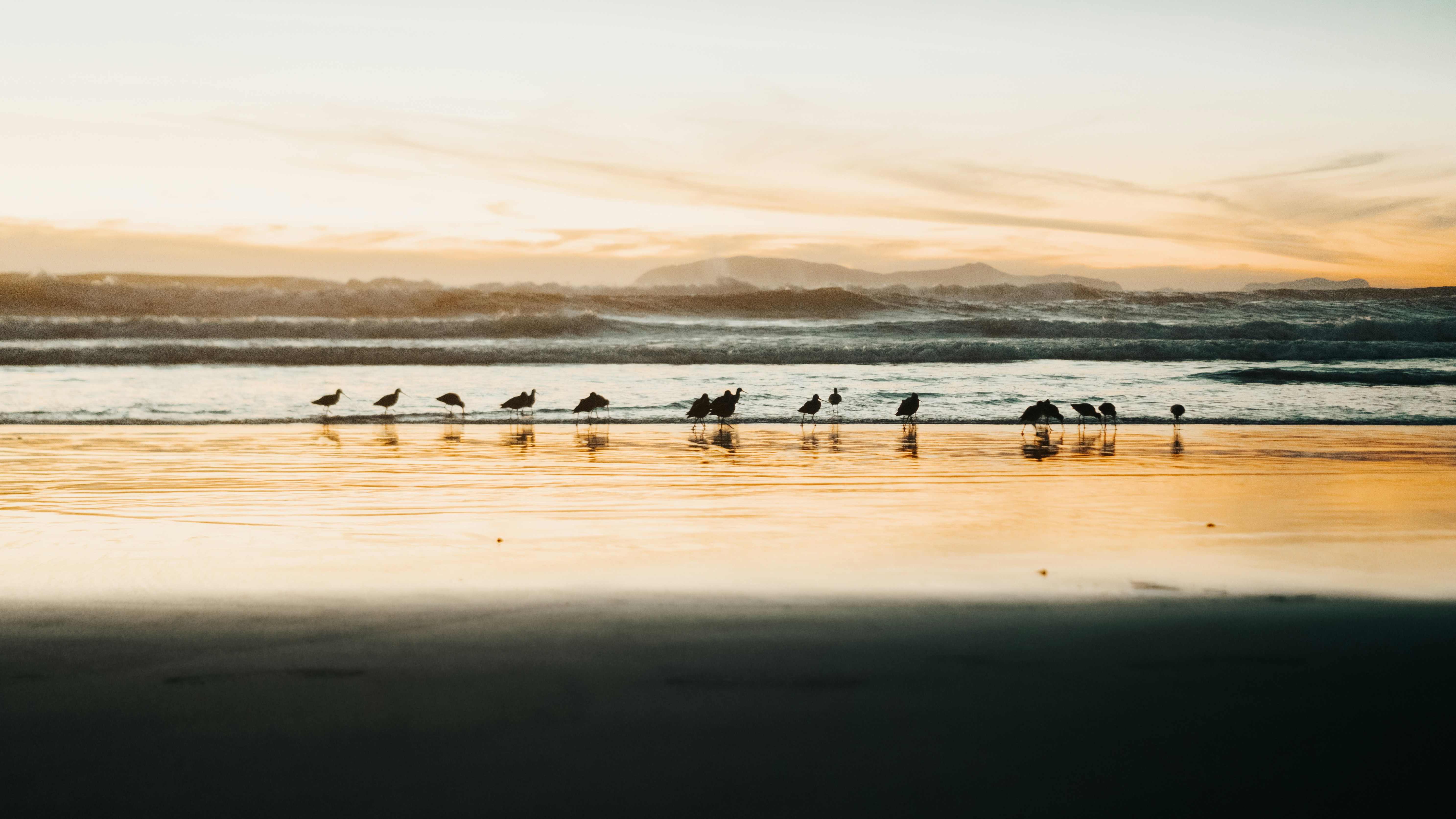 Photo by abdiasavalos