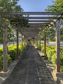 a long walkway lined with trees and bushes