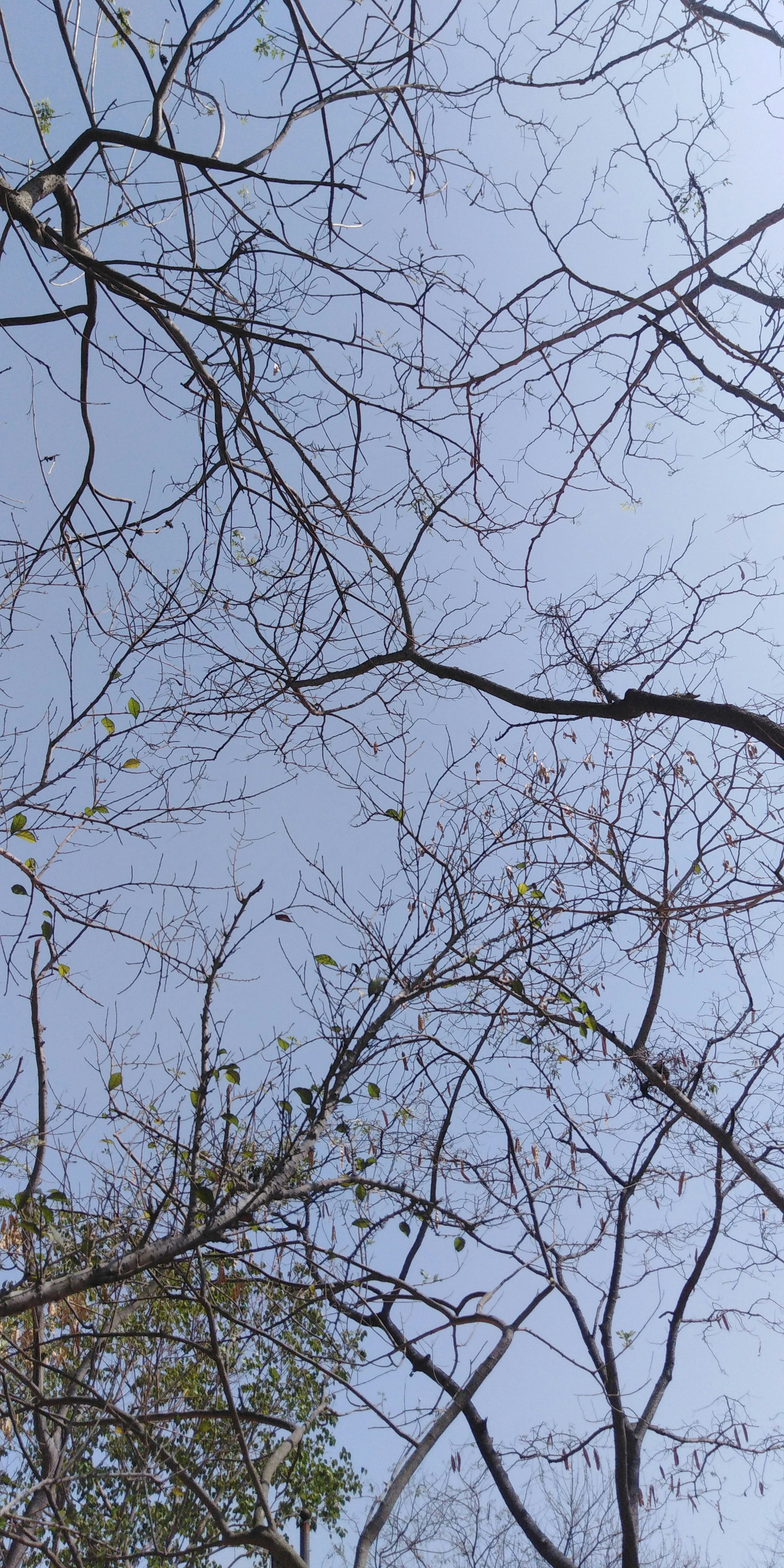 Photo by cherry_photography7