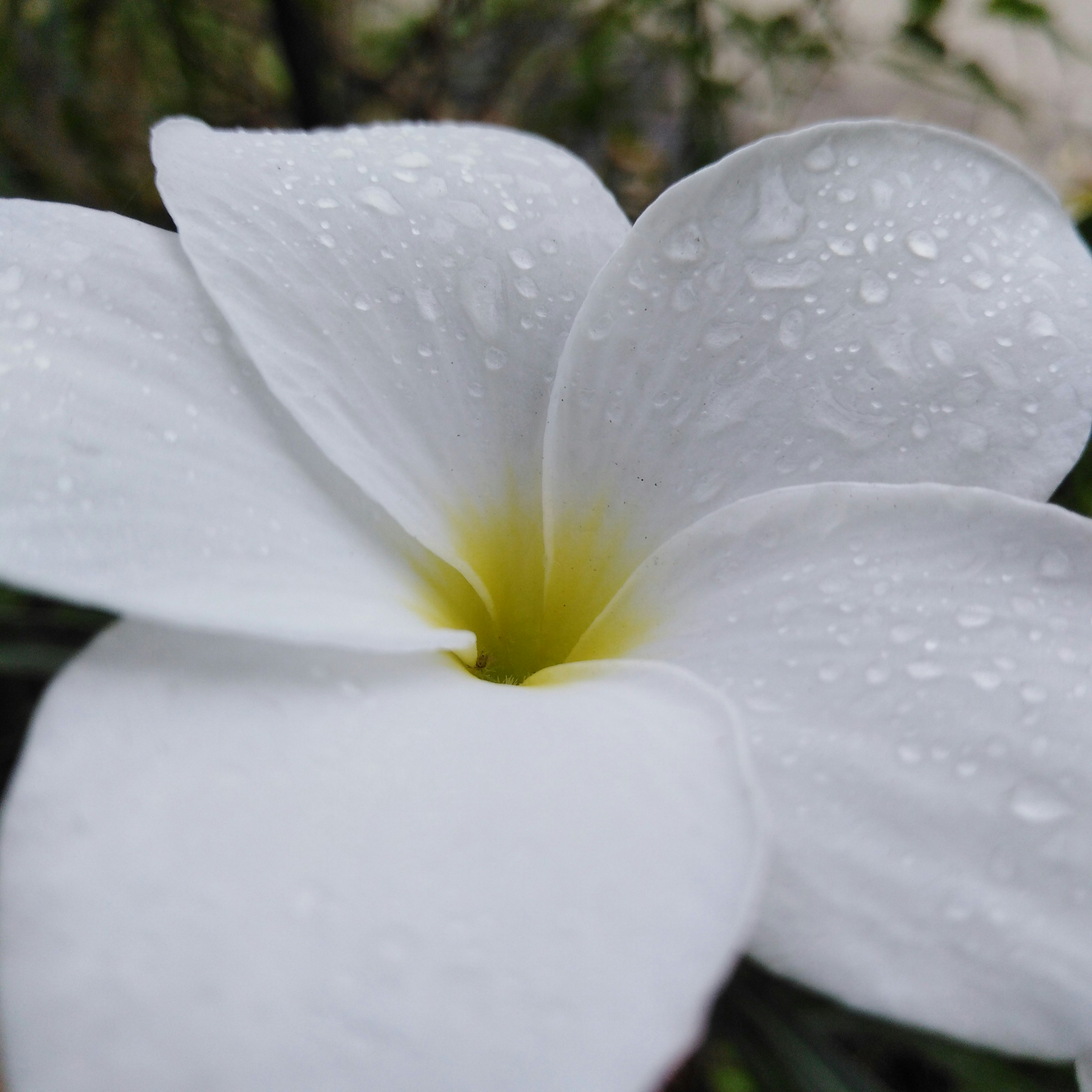 Photo by cherry_photography7