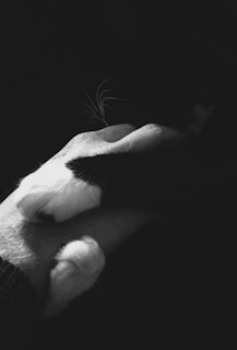 a black and white photo of a cat's paw