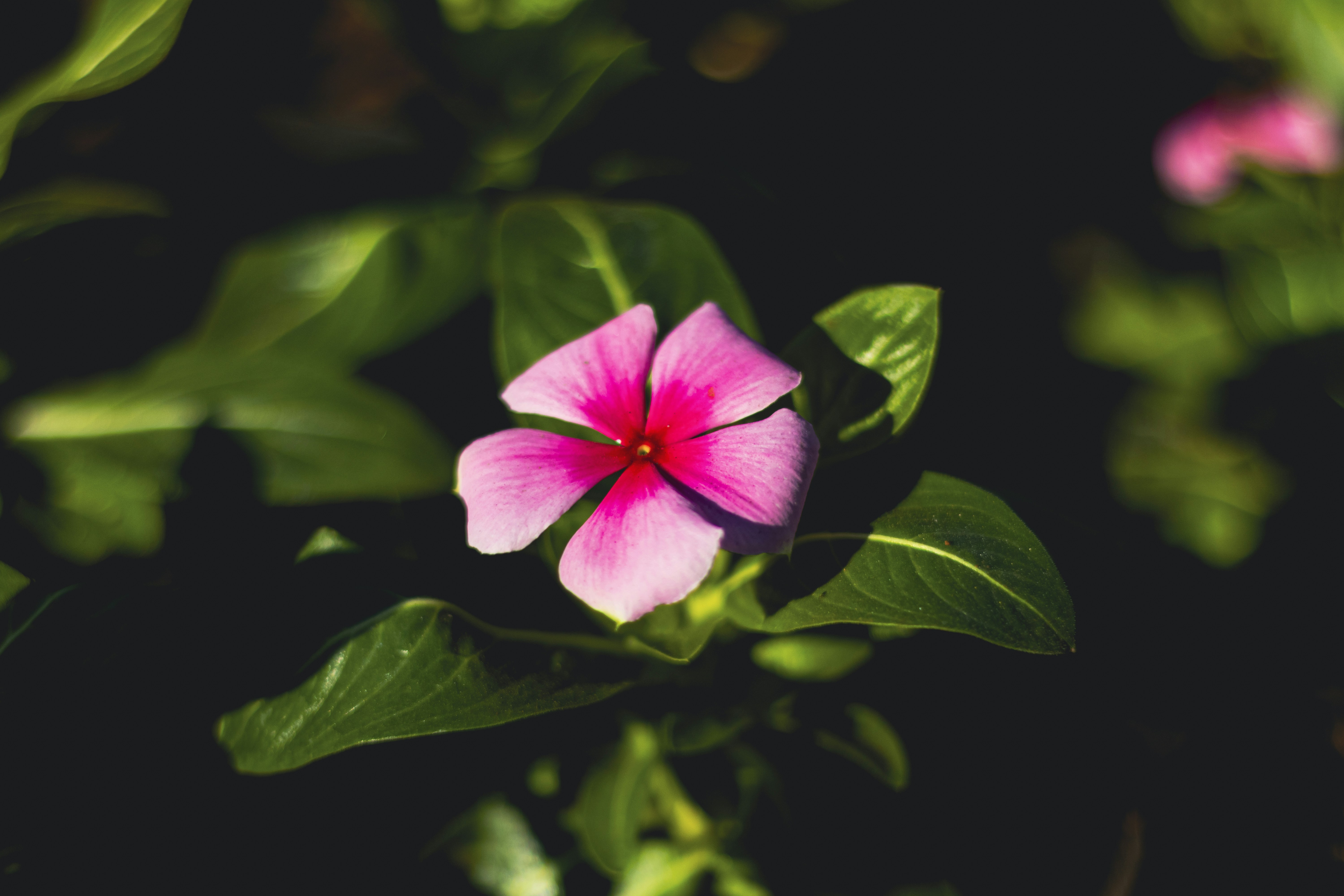 Photo by vdphotography