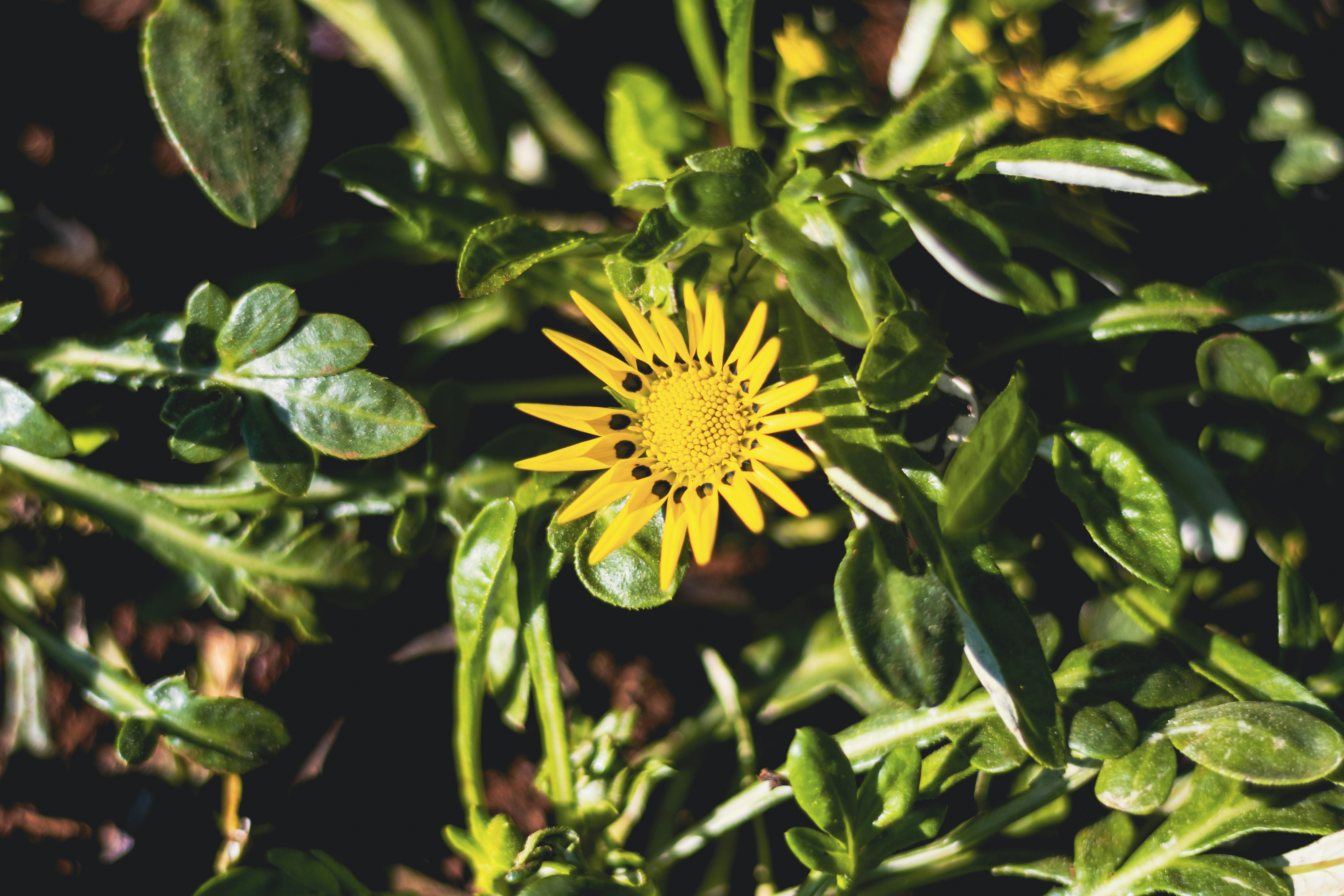 Photo by vdphotography