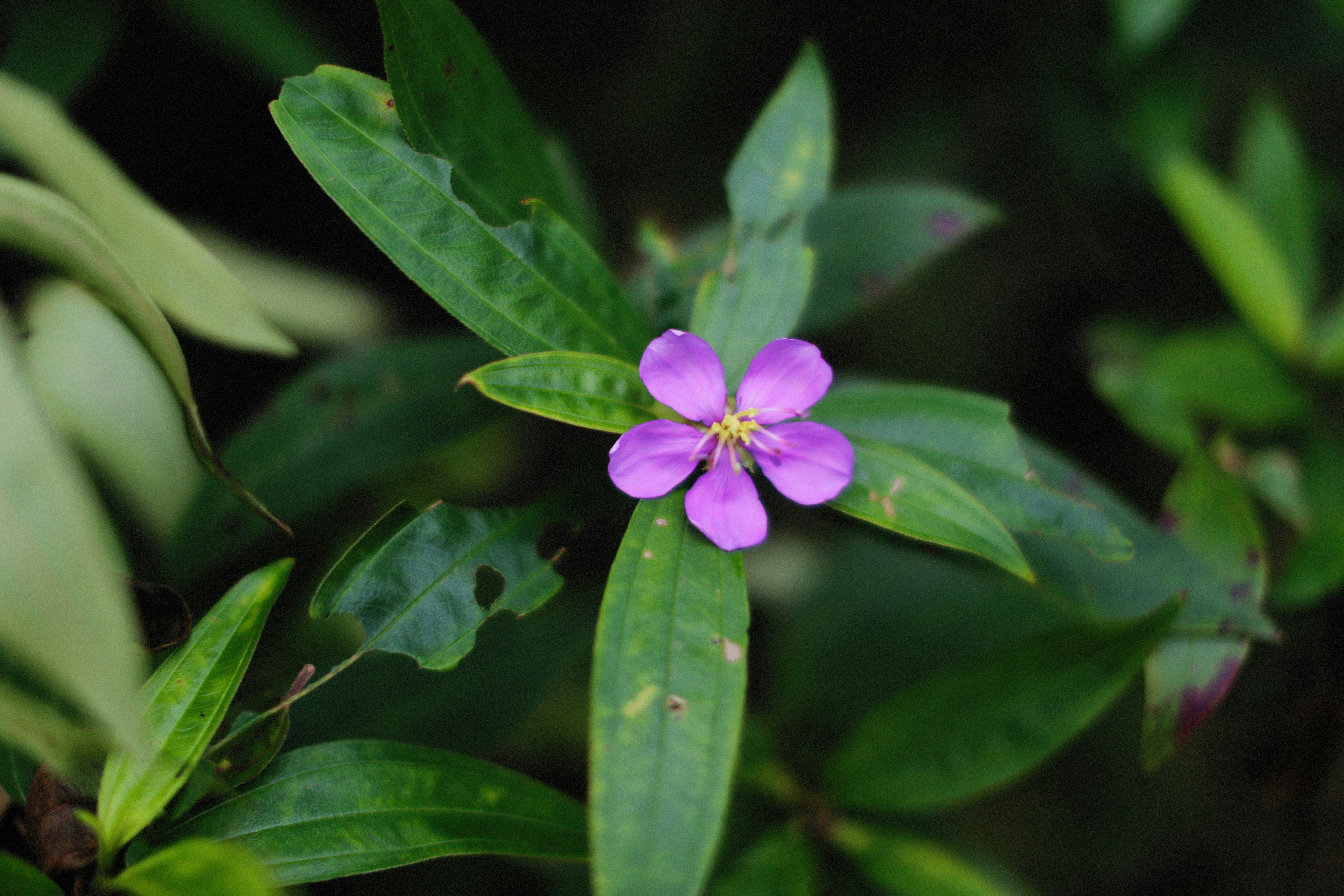 Photo by alexeydemidov