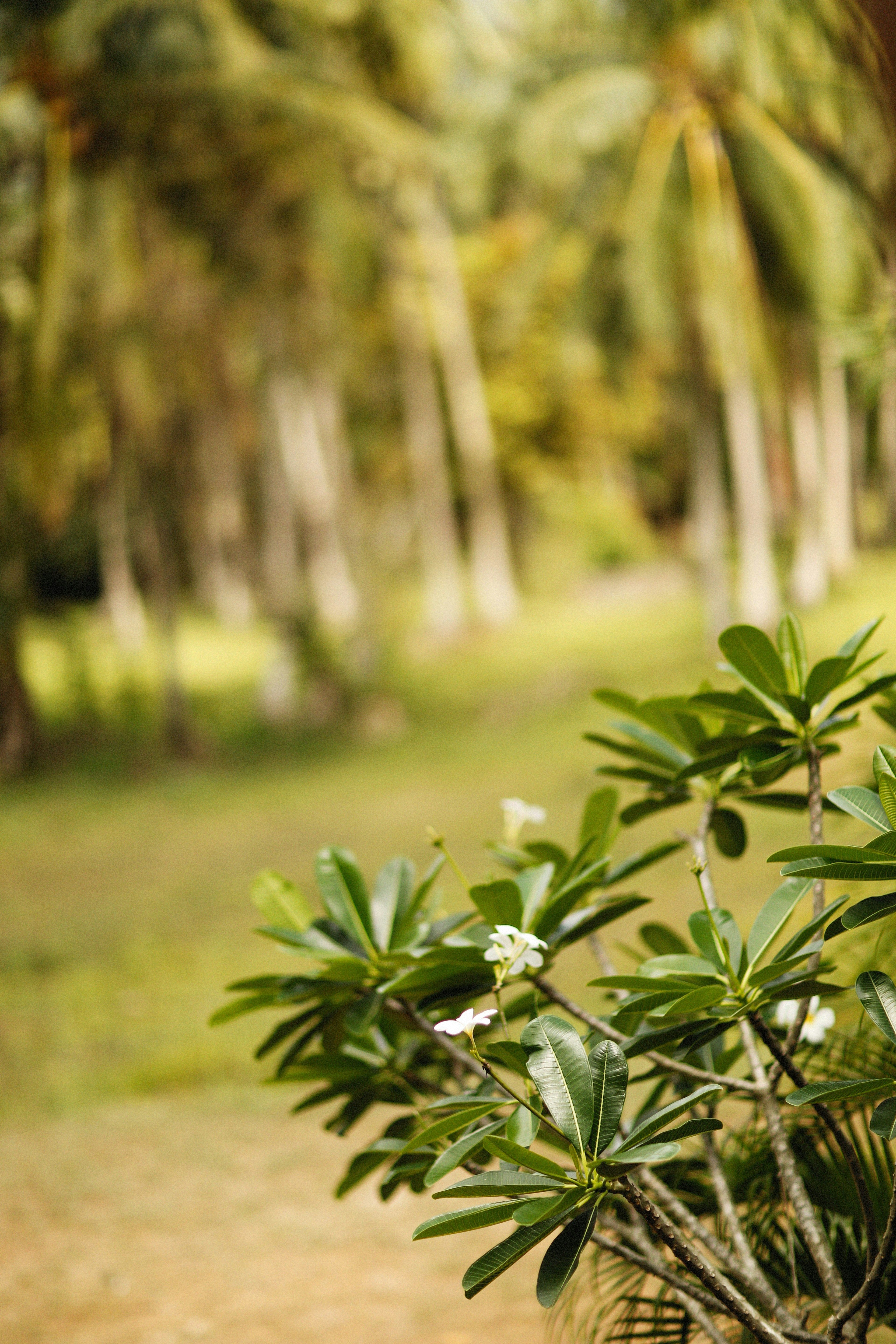 Photo by alexeydemidov