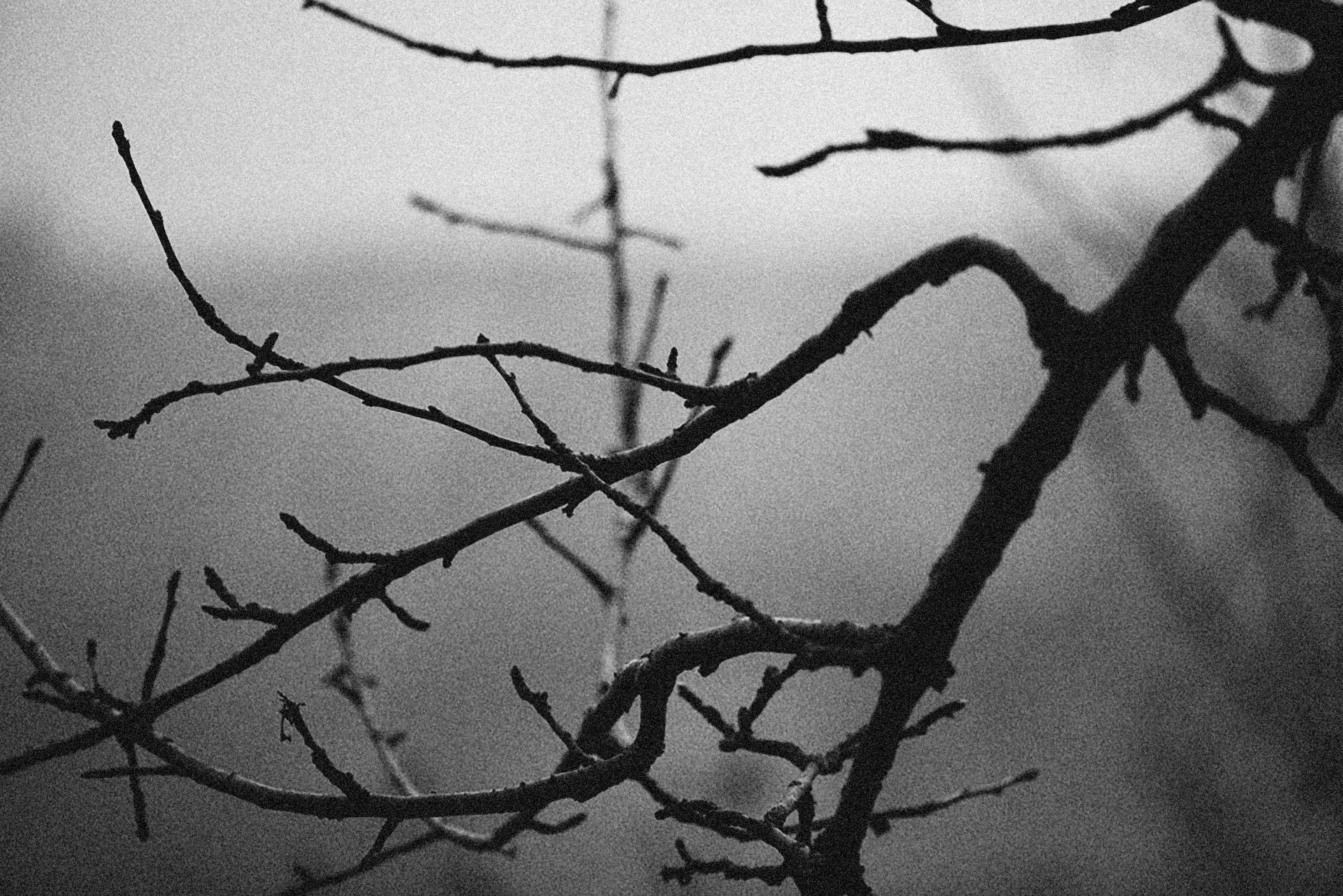 Photo by alexeydemidov