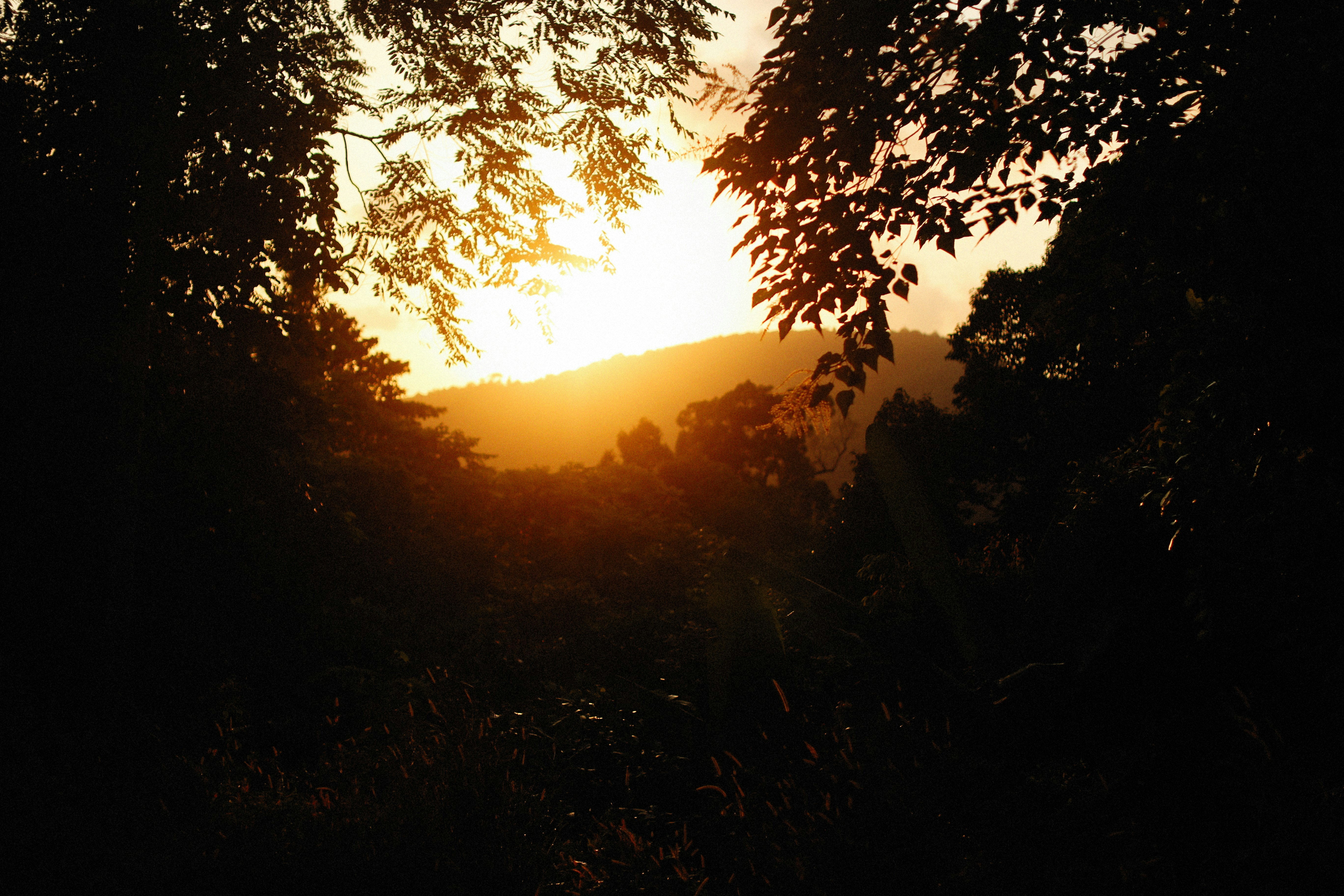 Photo by alexeydemidov