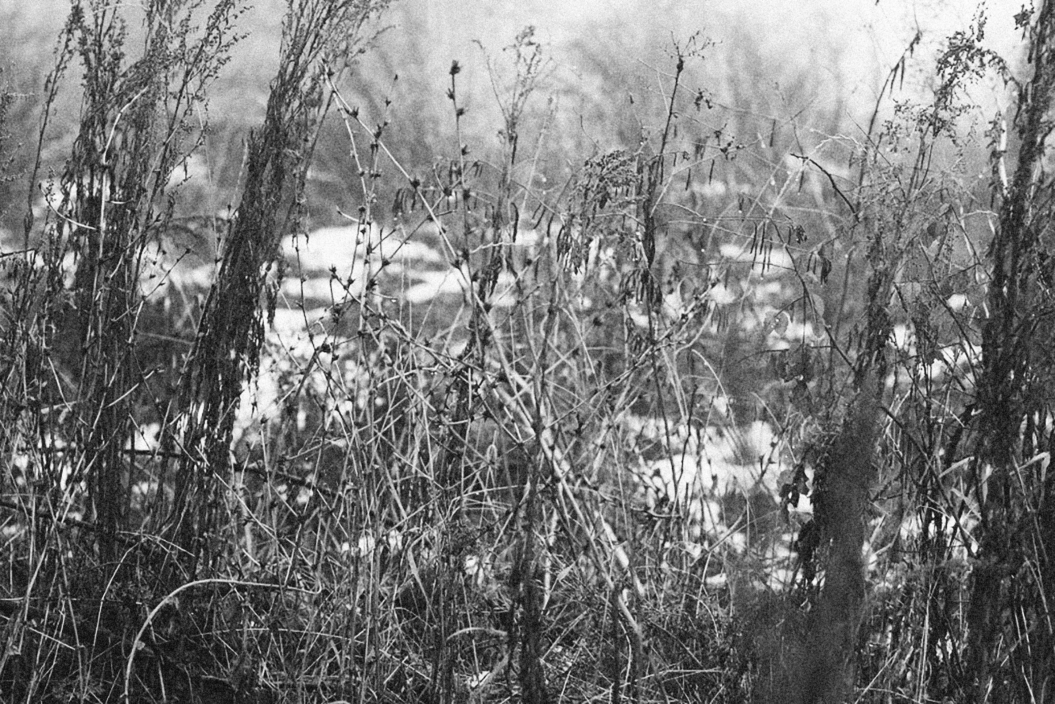 Photo by alexeydemidov