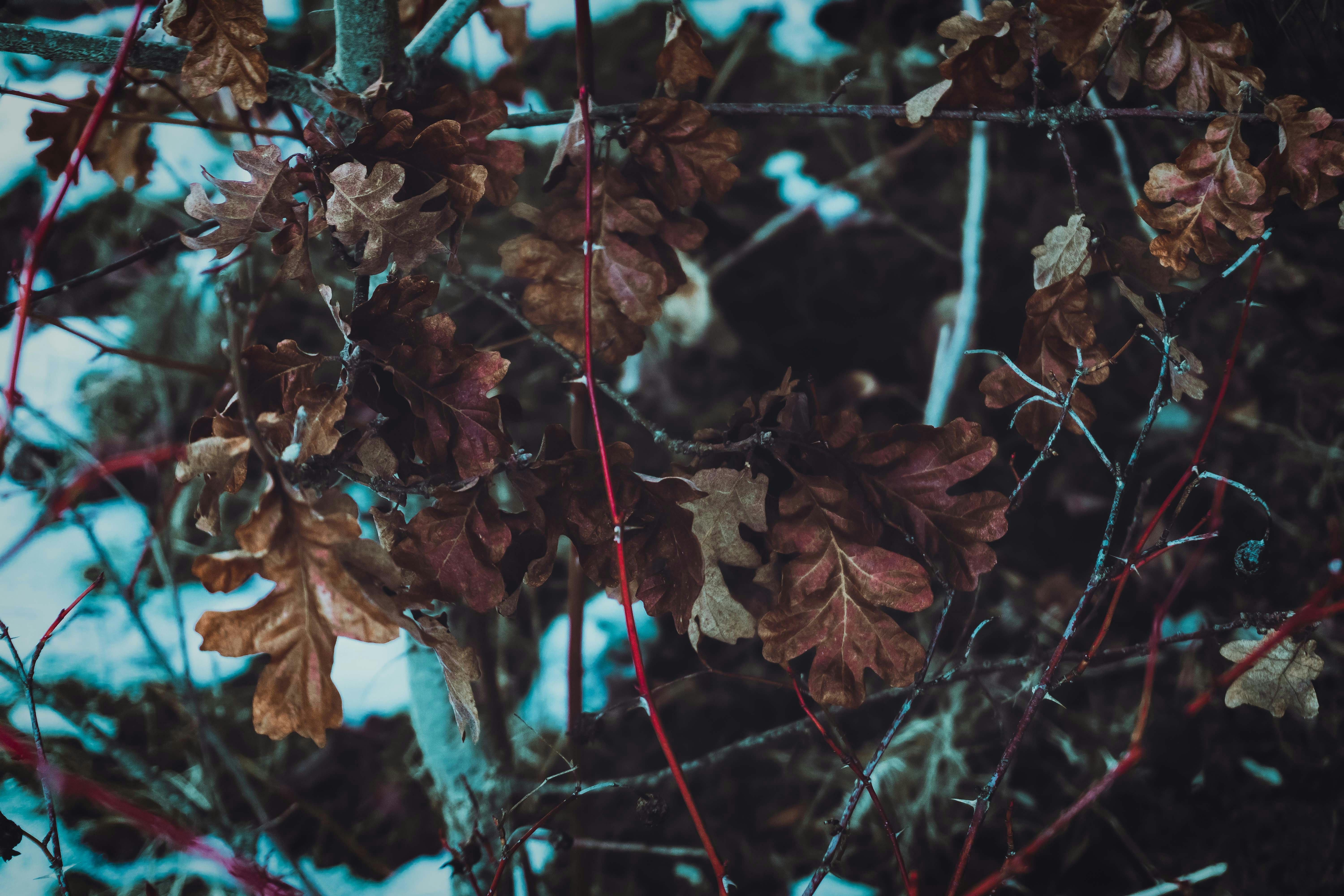 Photo by ddmcl_
