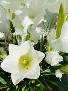 A close-up of delicate lilies blooming in a garden.