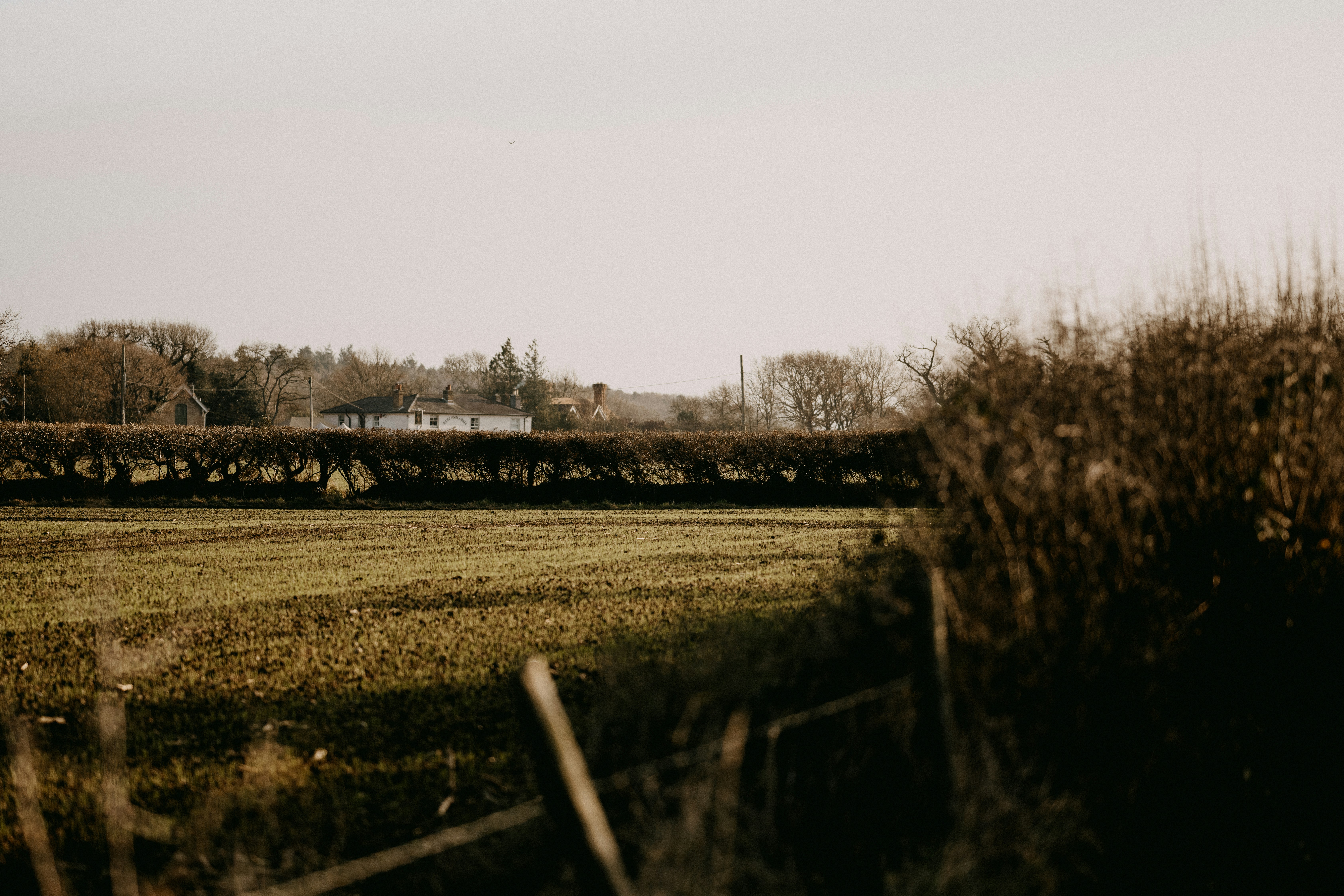 Photo by anniespratt