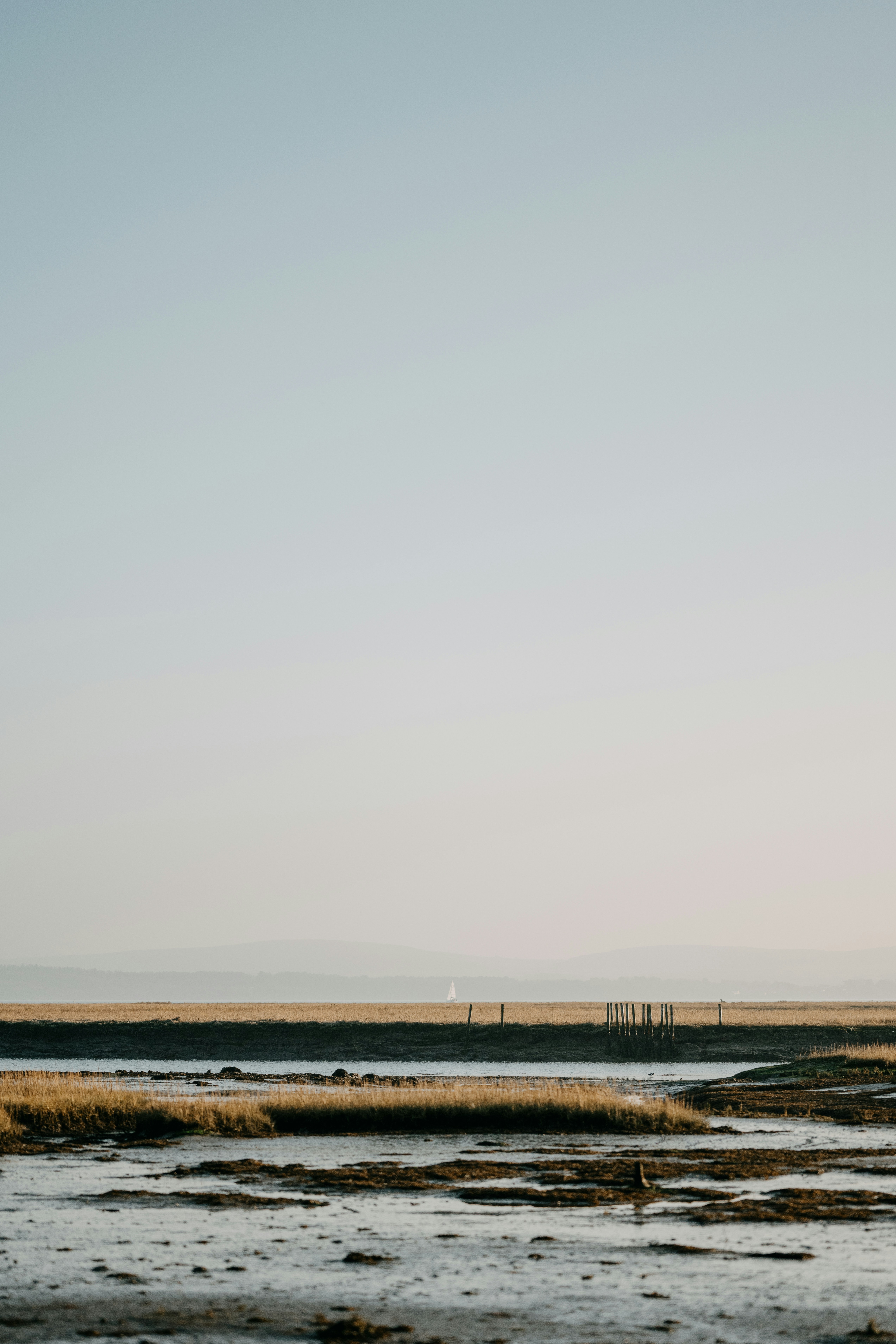 Photo by anniespratt