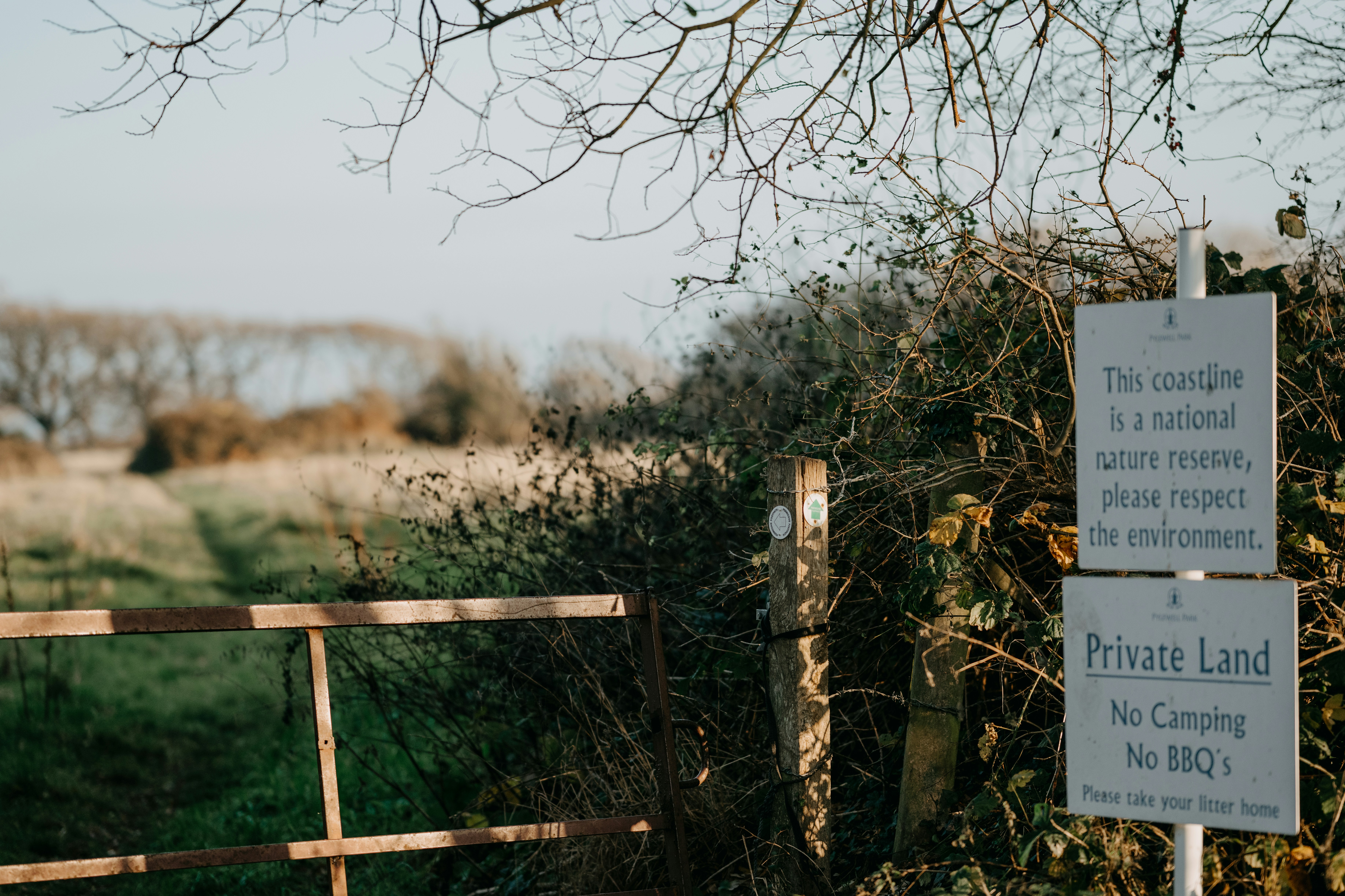 Photo by anniespratt