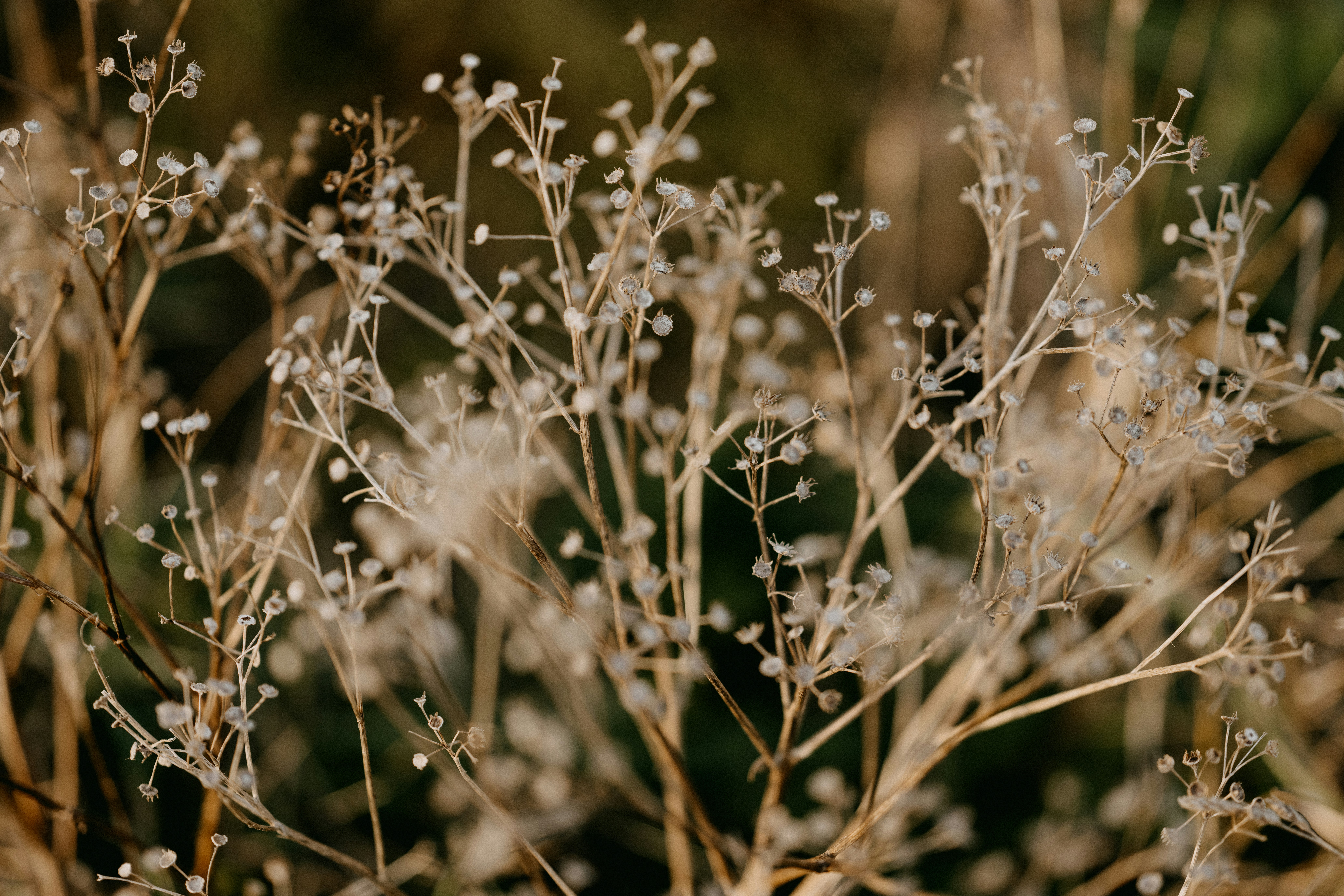 Photo by anniespratt