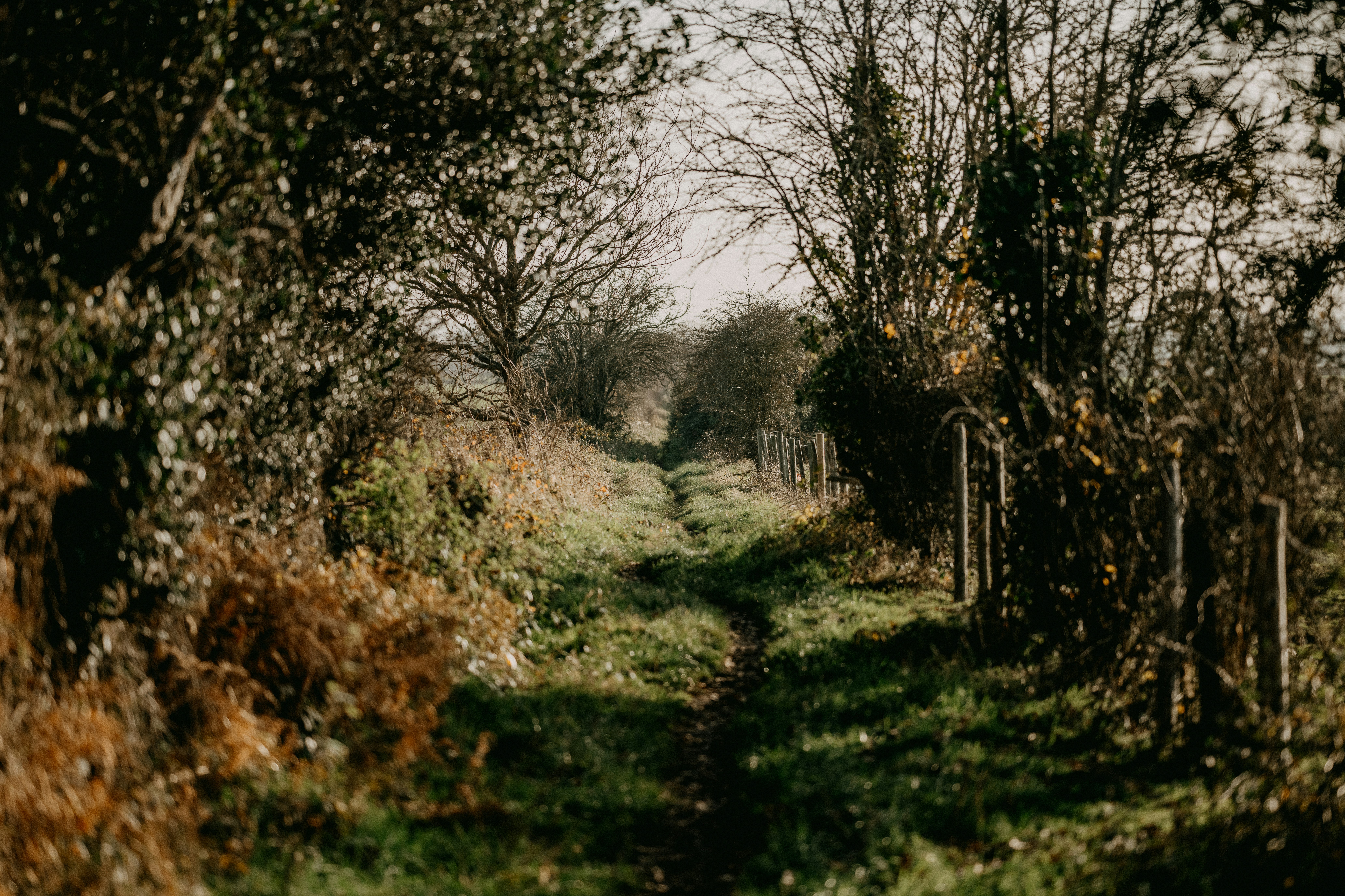 Photo by anniespratt