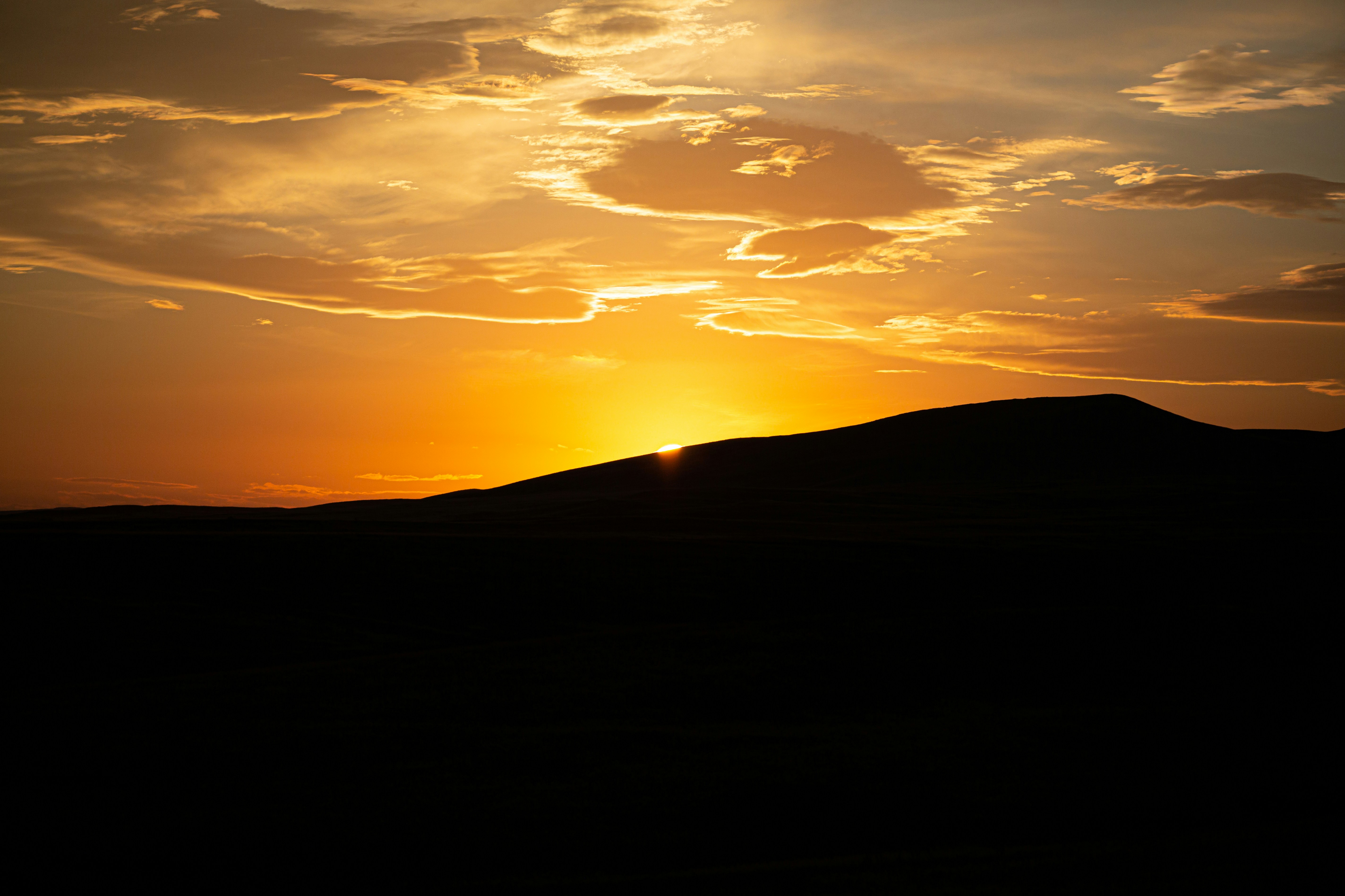 Photo by valerysysoev