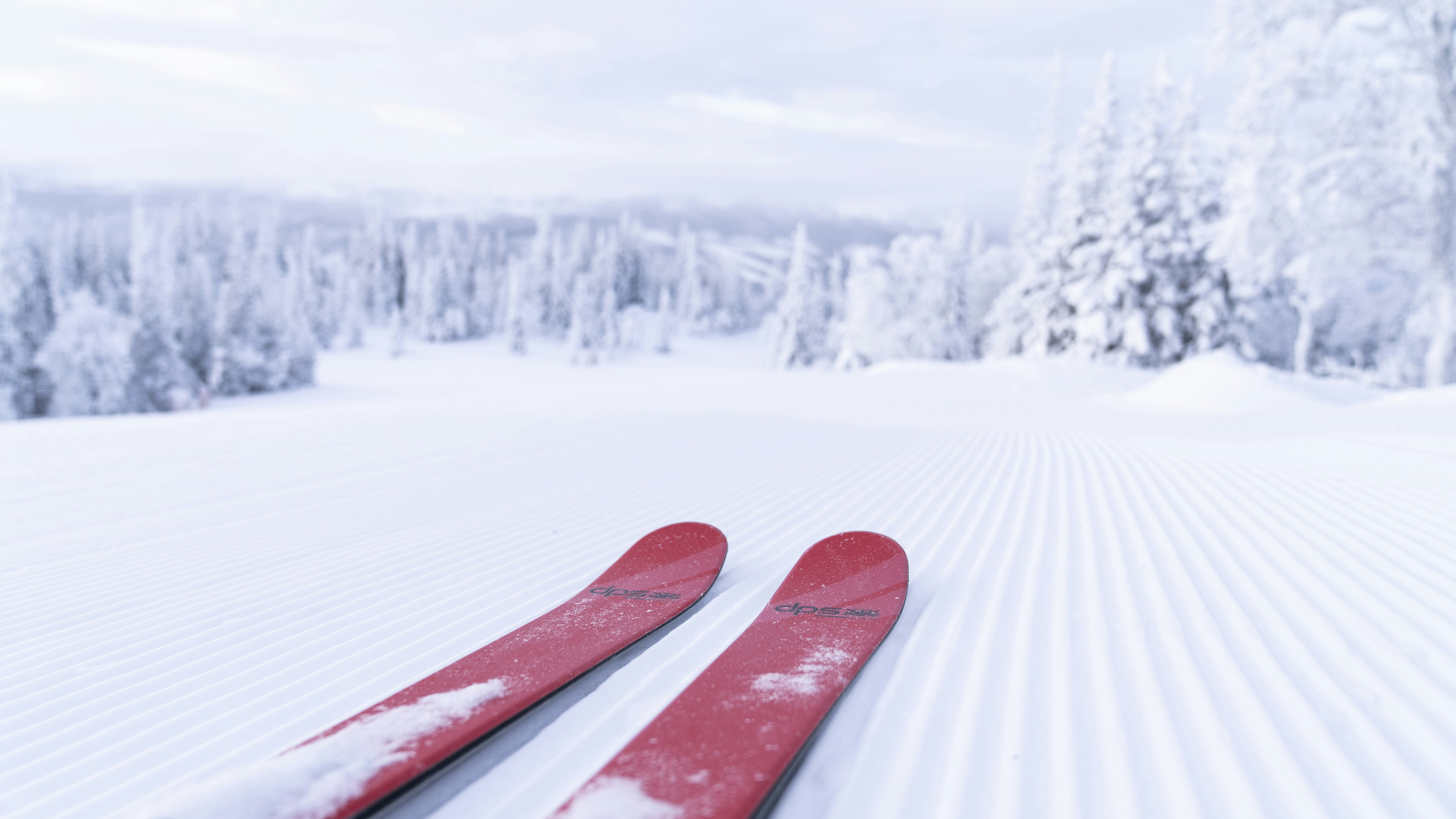a pair of skis sitting on top of a snow covered slope, Red skis on a freshly groomed slope in Åre.