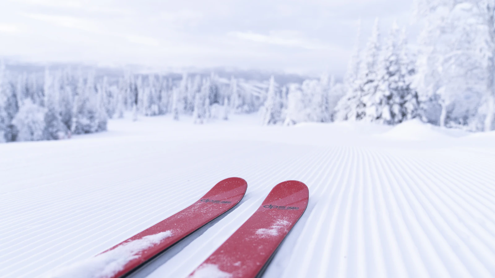 Are ski resort in Sweden