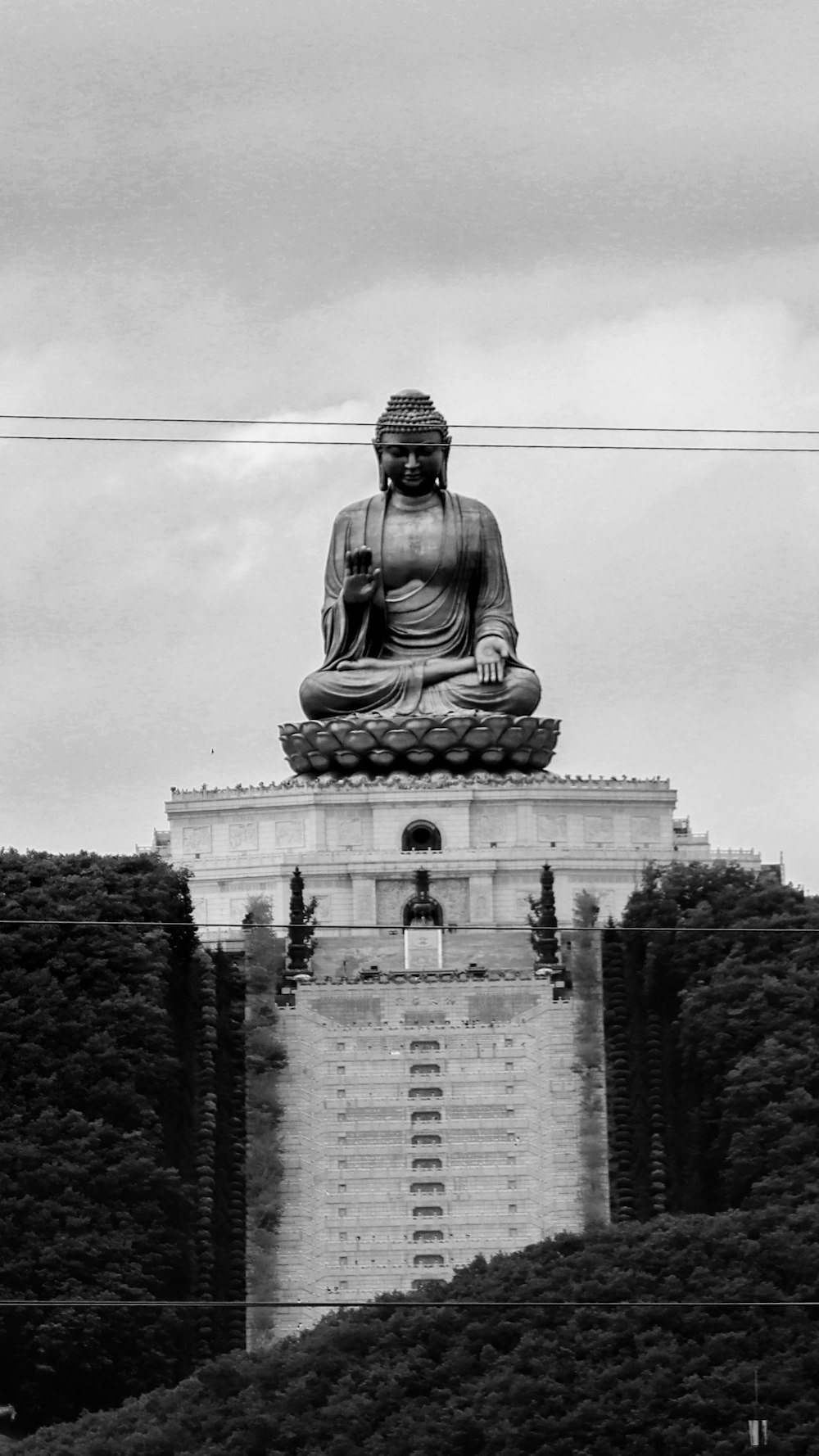 a large buddha statue sitting on top of a lush green hillside