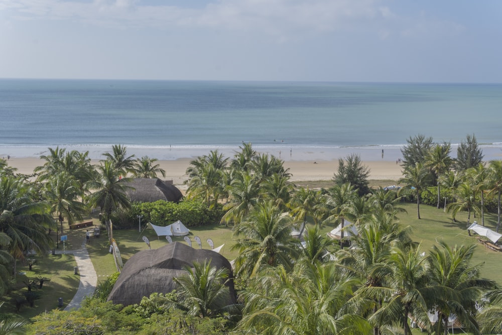 a view of a beach with palm trees and the ocean in the background