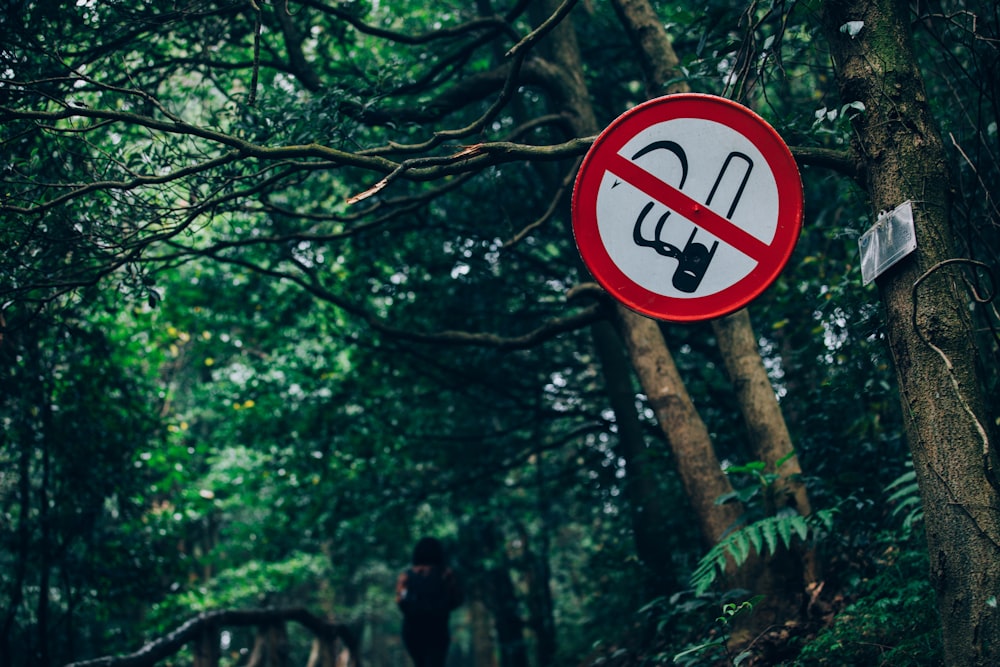 a red and white sign hanging from the side of a tree