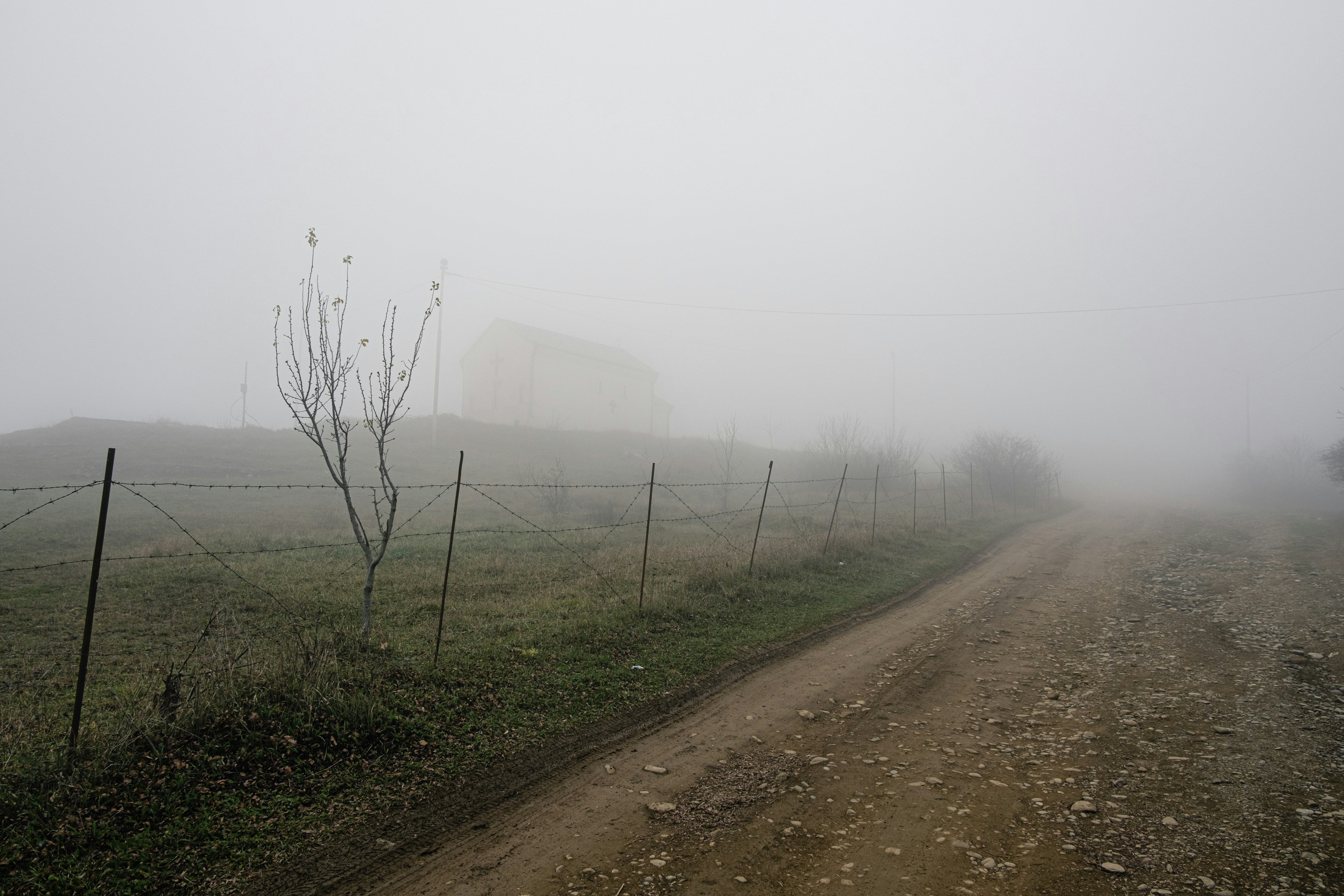 Photo by maksimesli