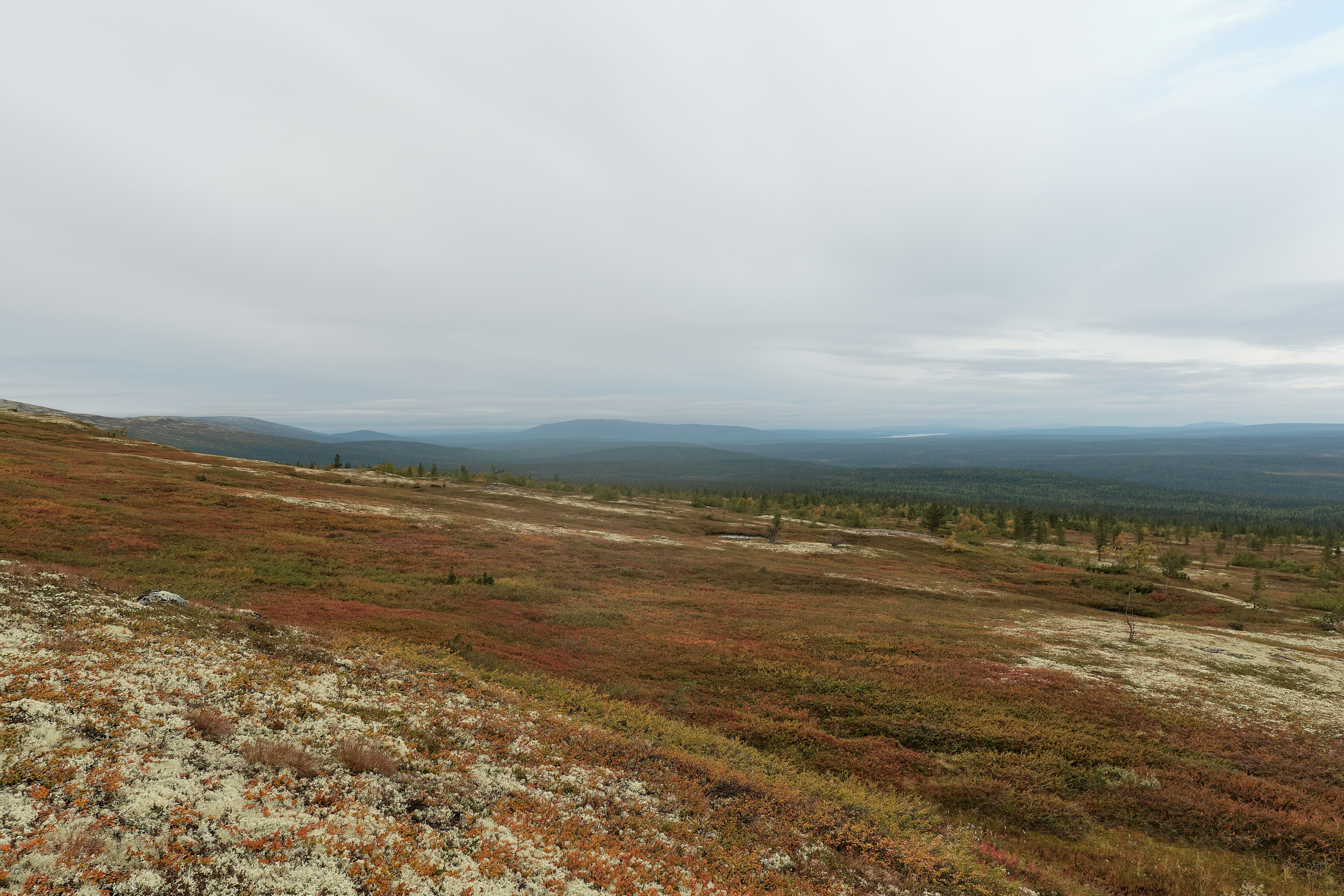 Photo by maksimesli