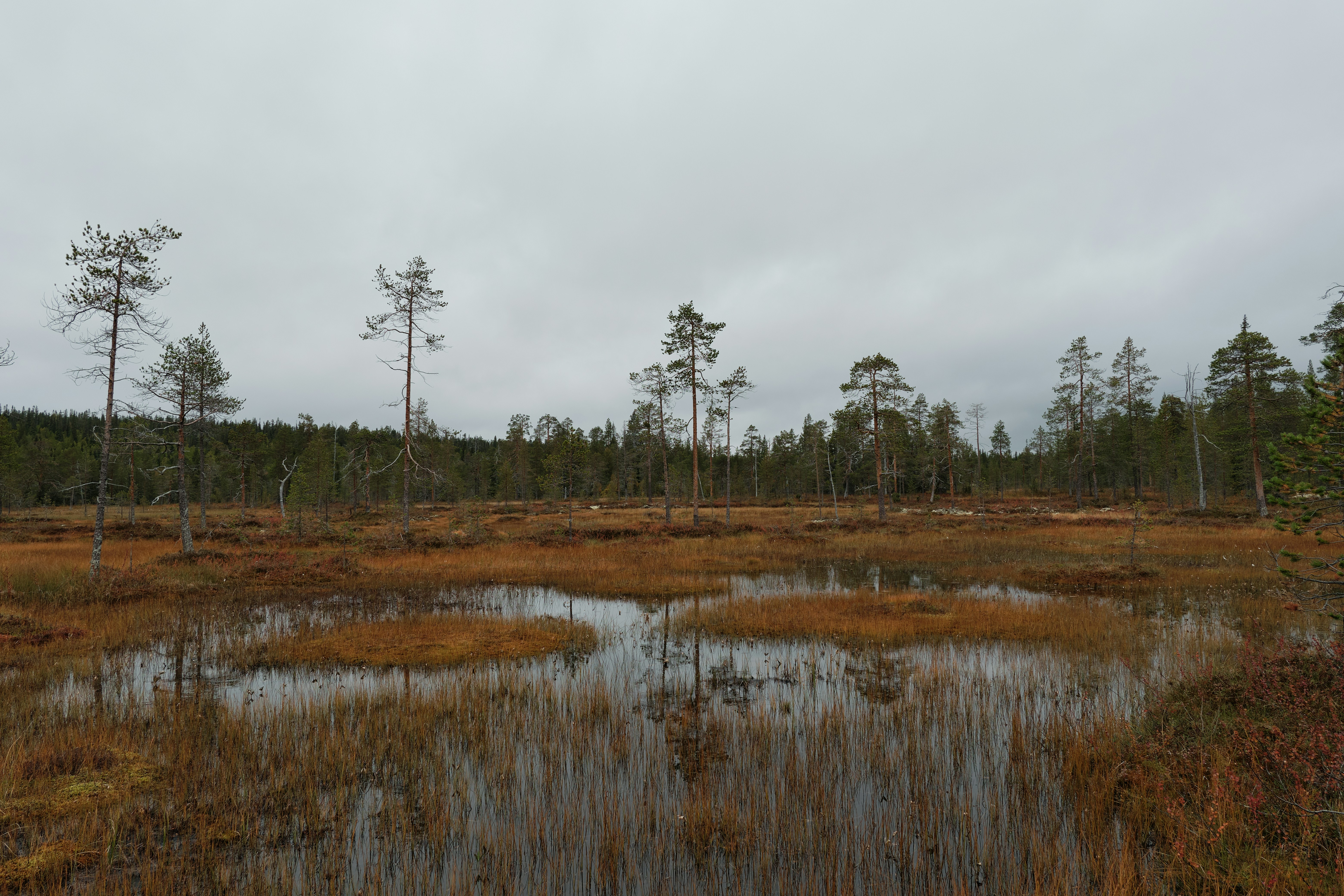 Climate Connections: Waste Processing and Weather (image credits: unsplash)