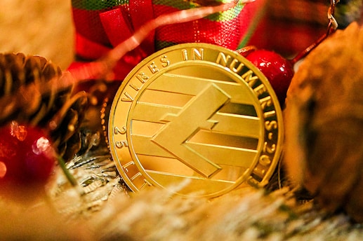a gold coin sitting on top of a pile of pine cones