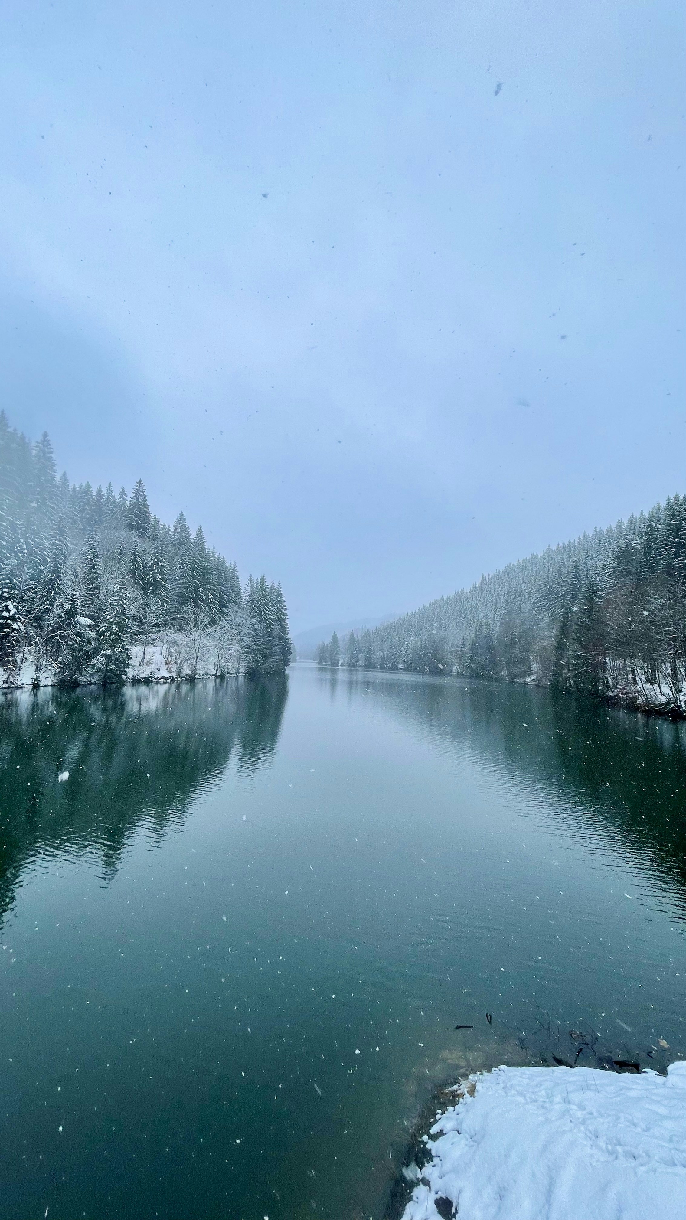 Photo by frankenwaldrunner68