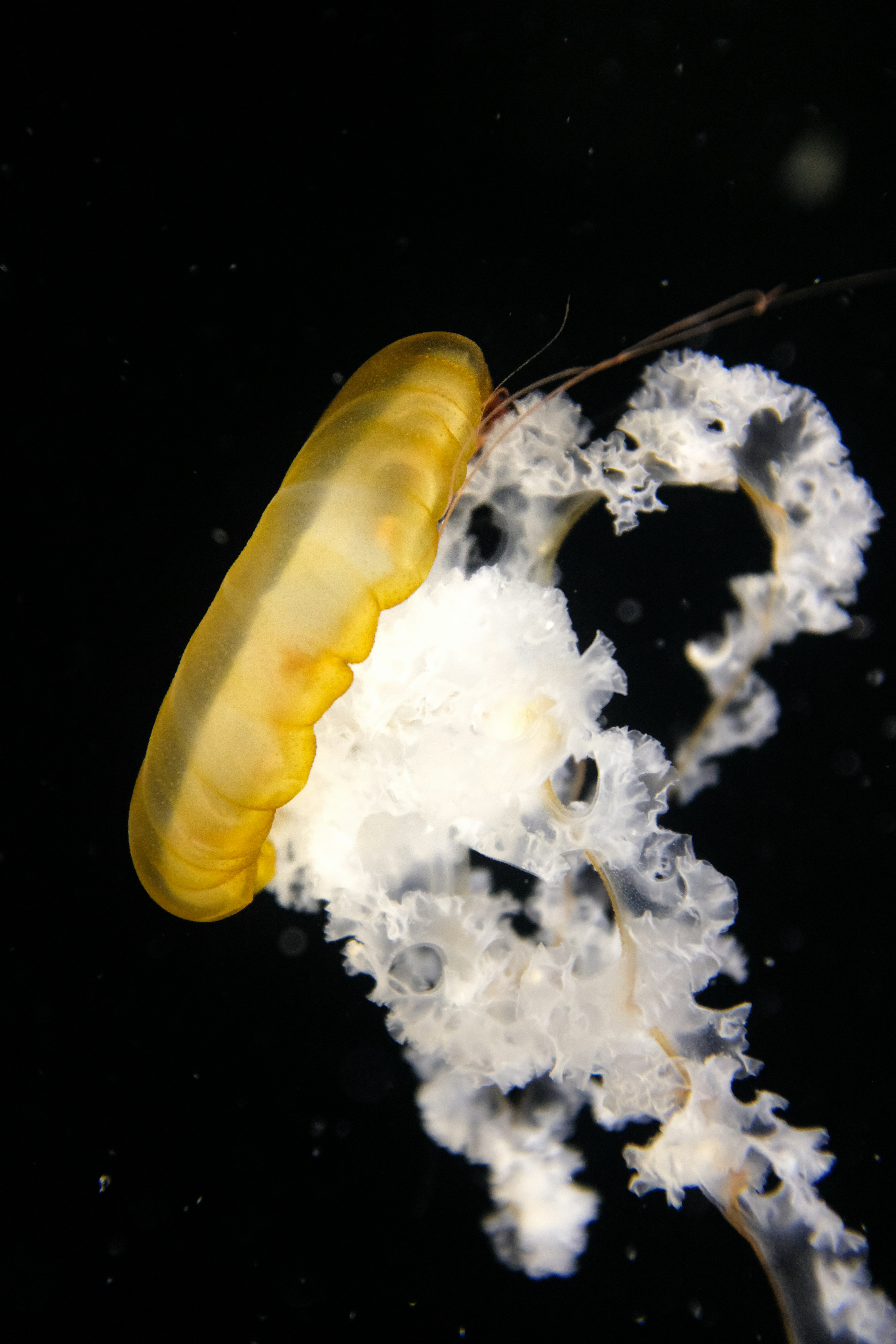 Photo by filipp_roman_photography