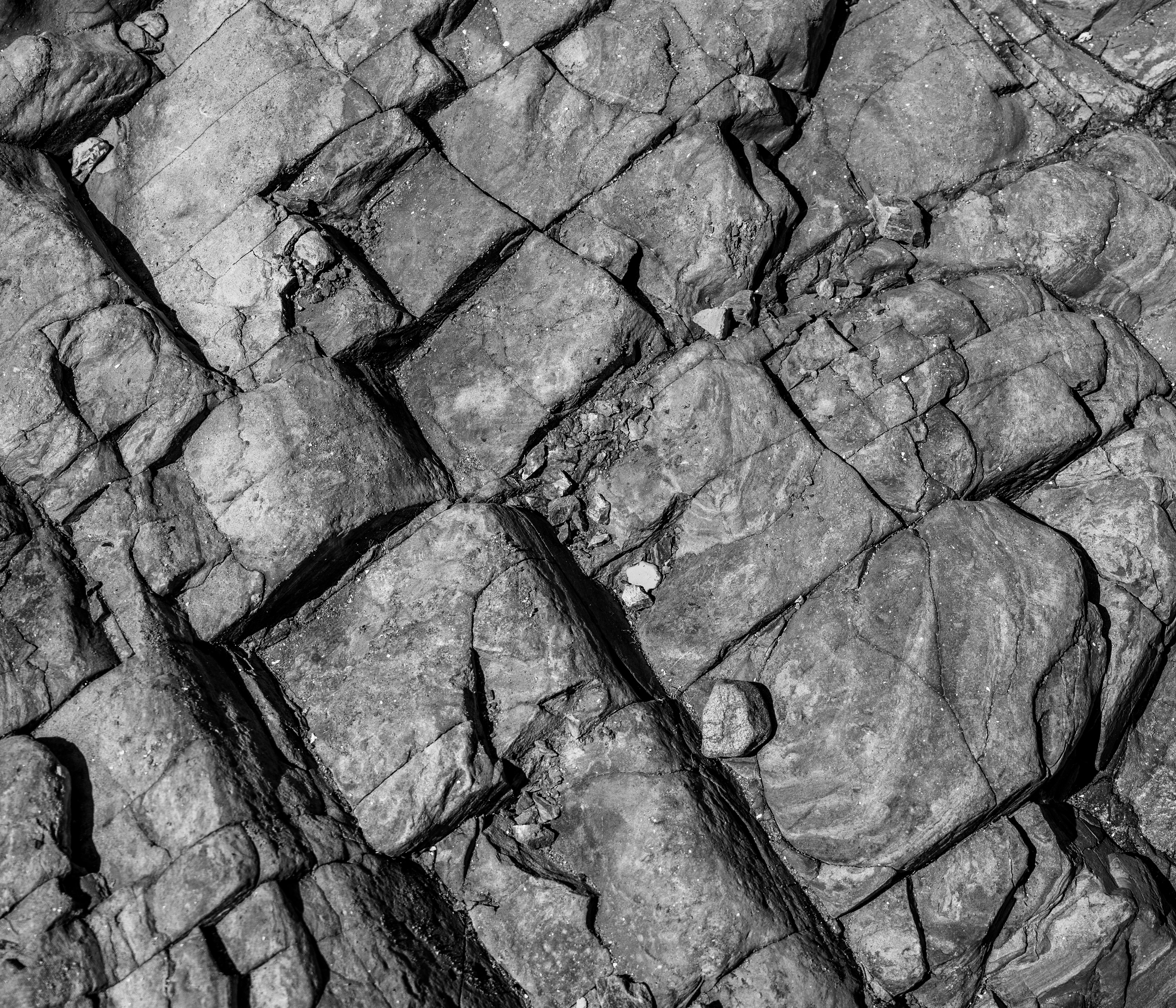 Photo by michael_marais