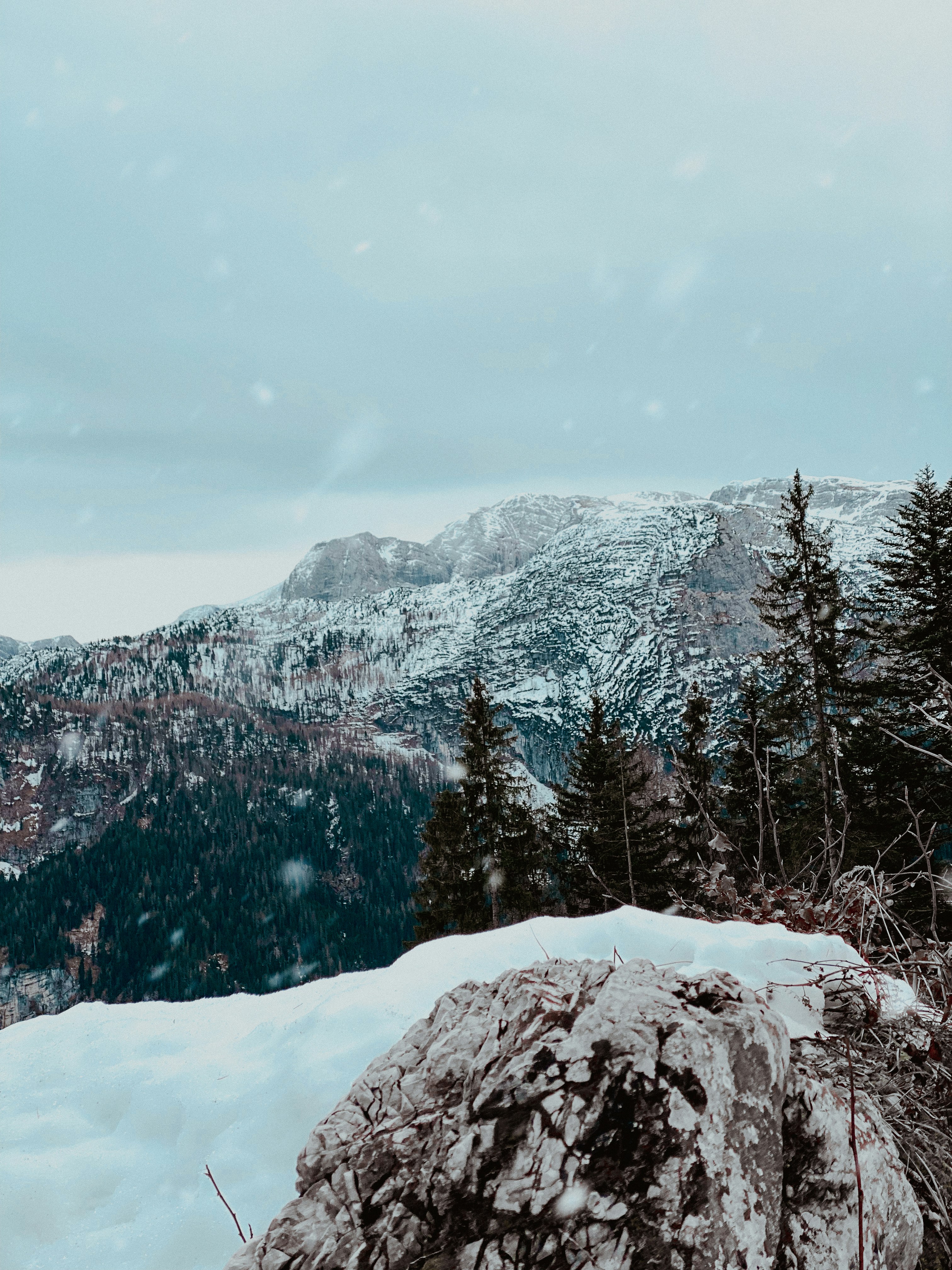 Photo by laurachouette