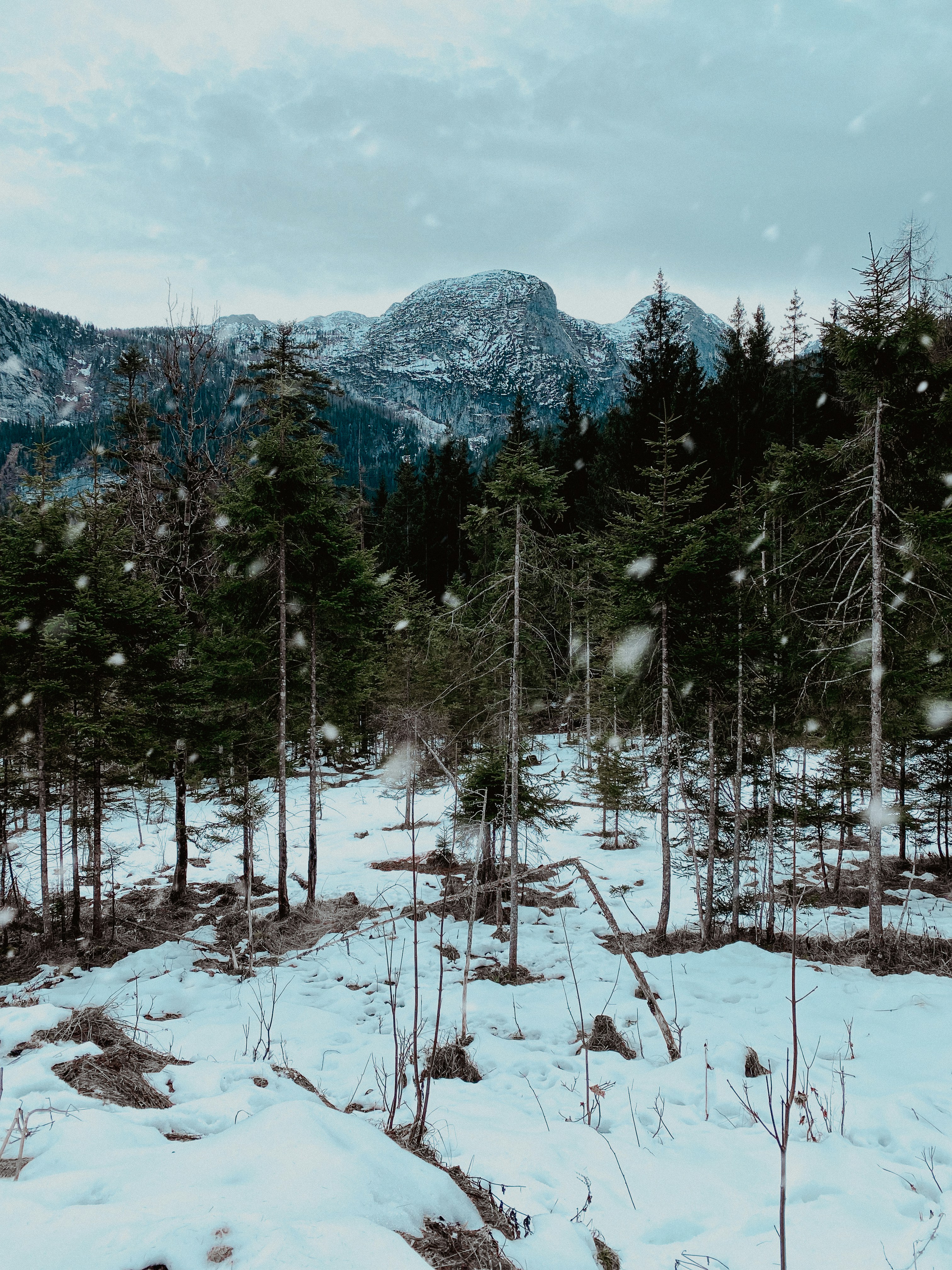 Photo by laurachouette