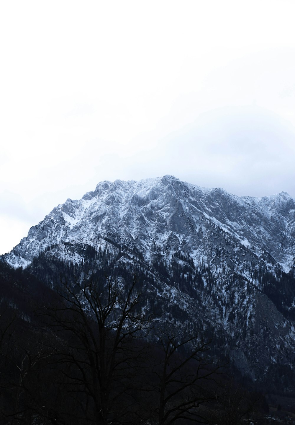 Una montagna innevata con alberi in primo piano