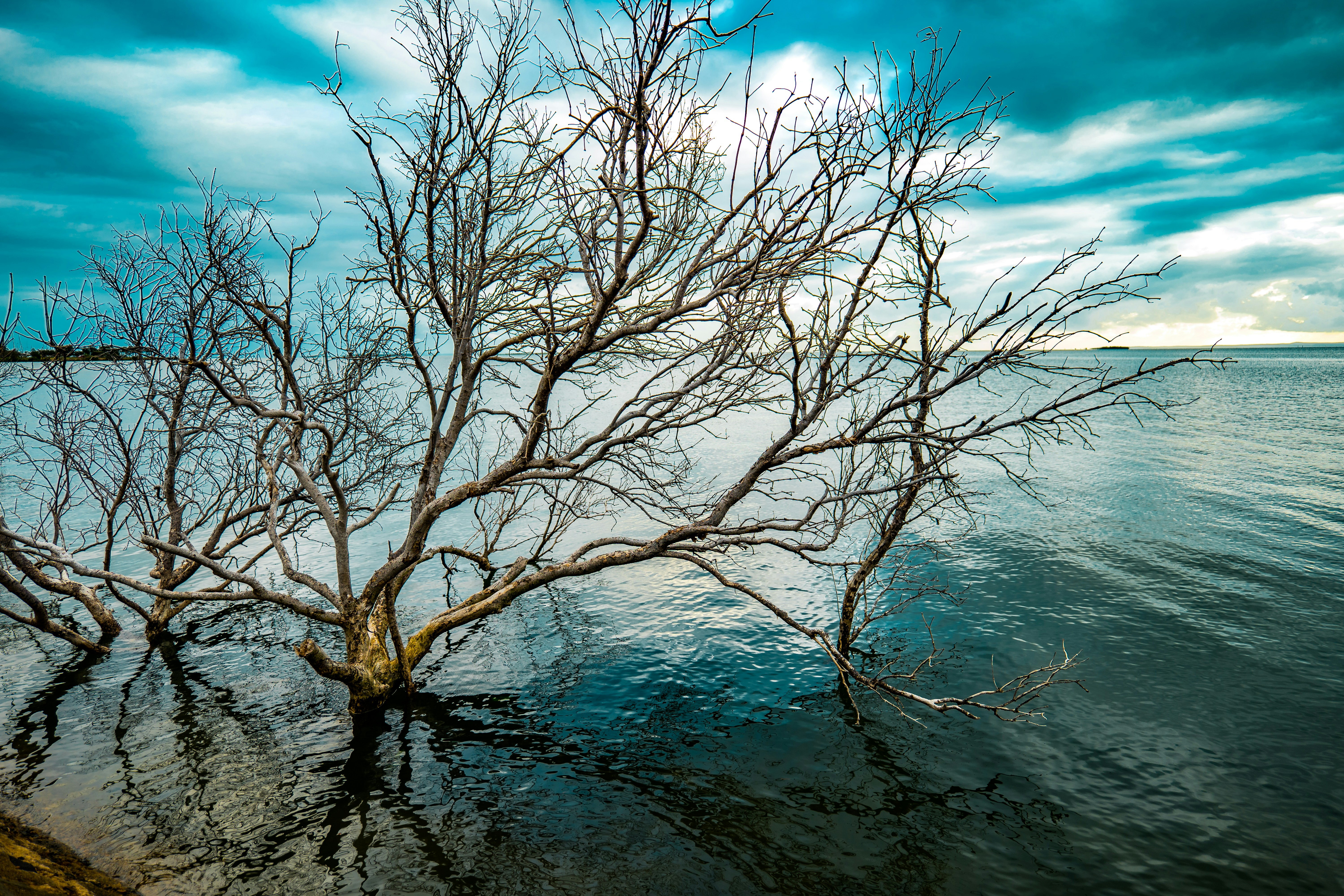 Photo by michael_marais