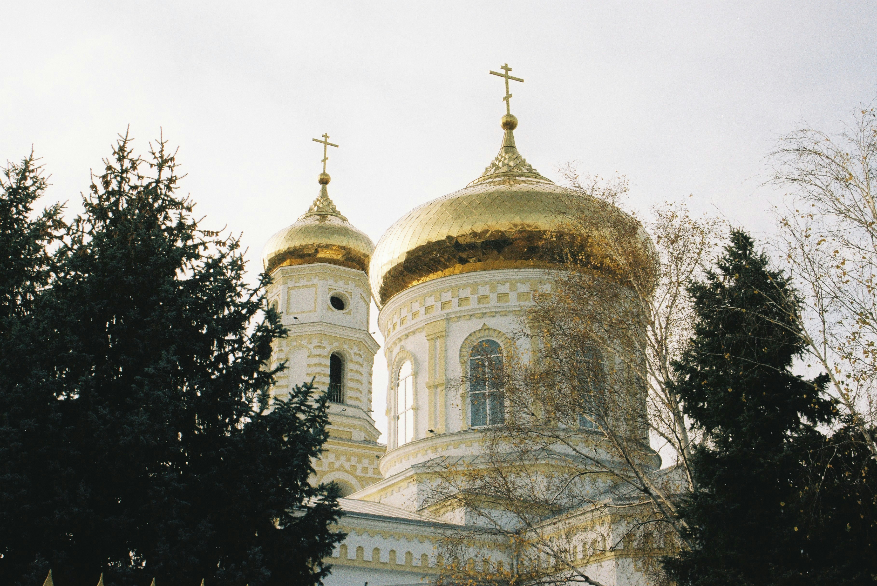 Photo by nickaleksenko