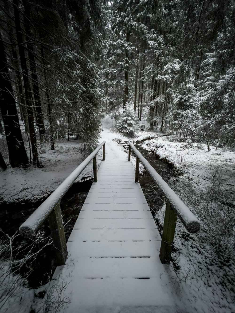 a snow covered path in a forest with trees