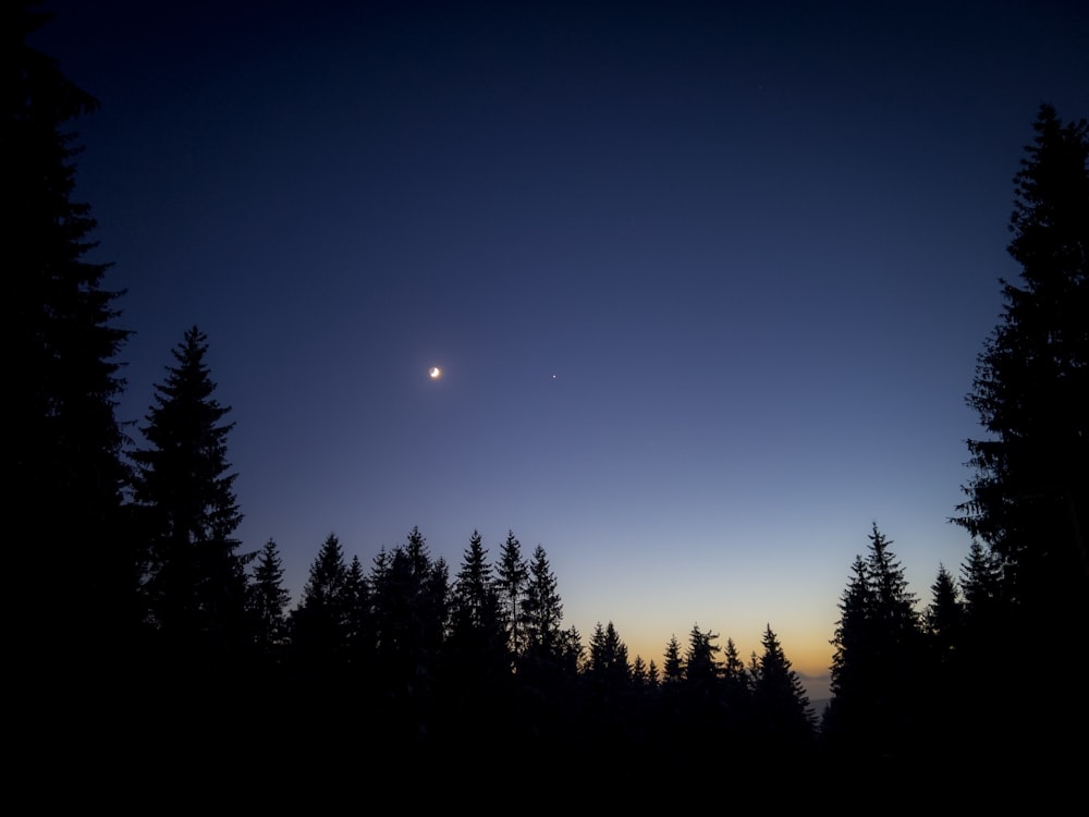 the moon and venus are seen through the trees