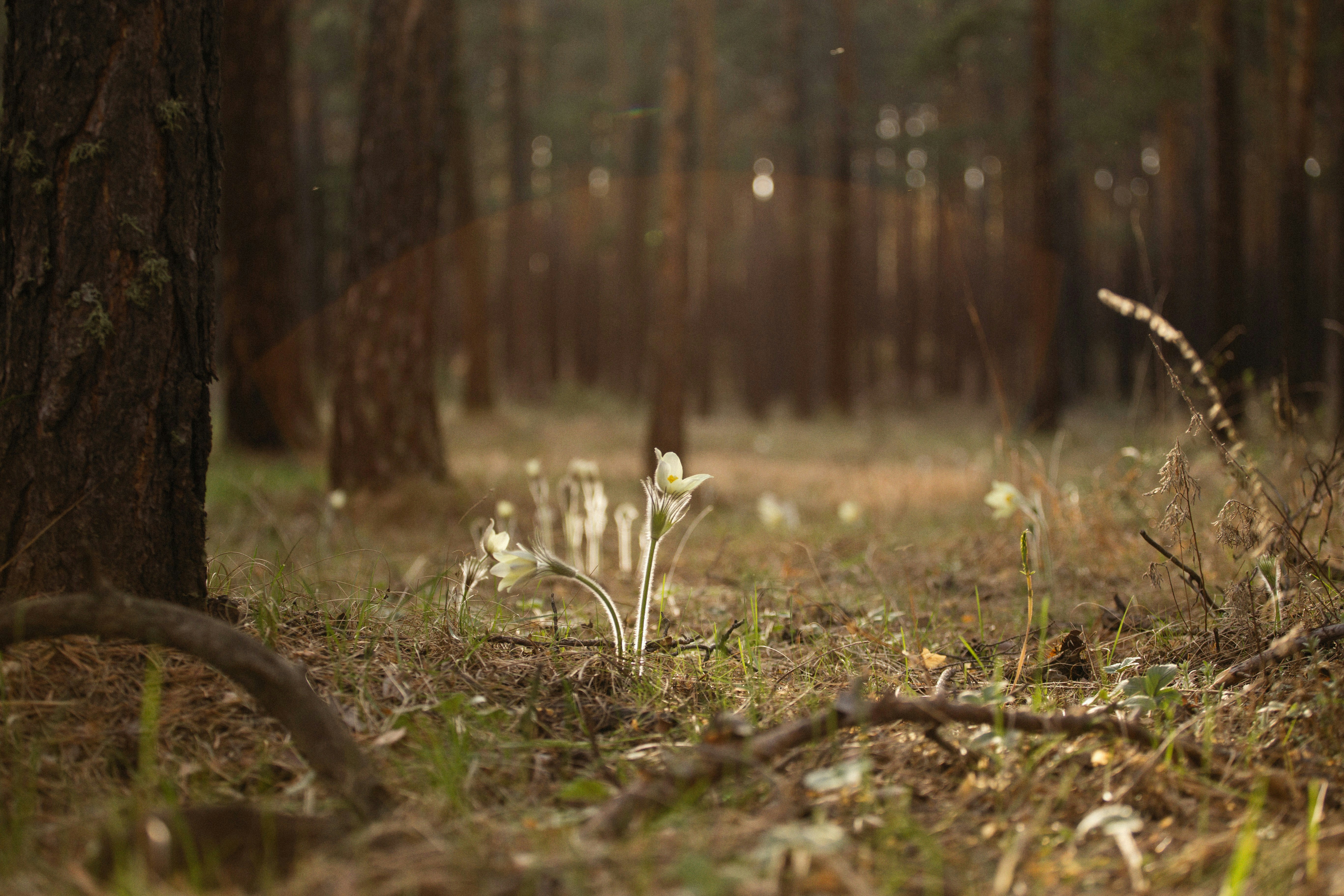 Photo by alexeydemidov