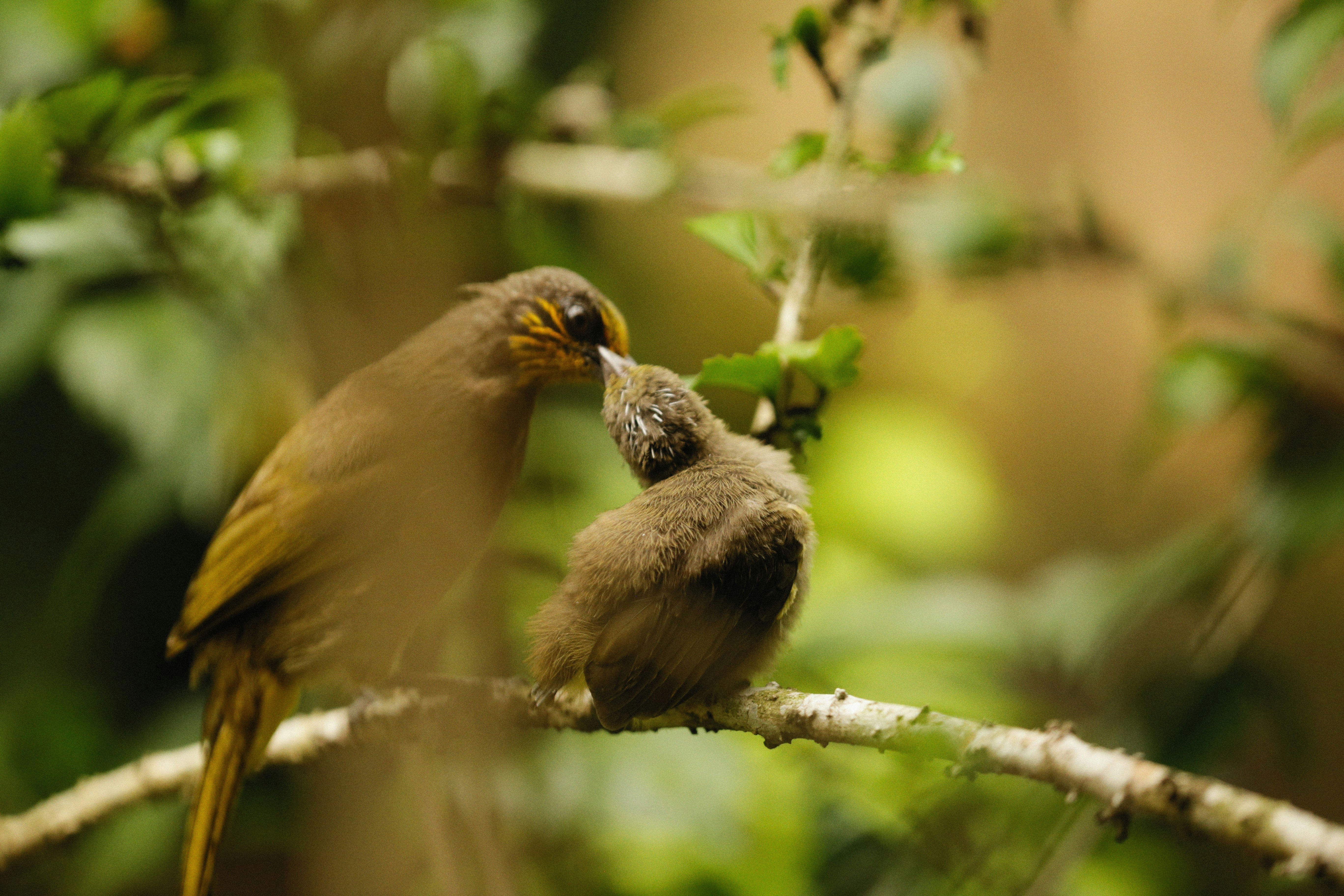 Photo by alexeydemidov